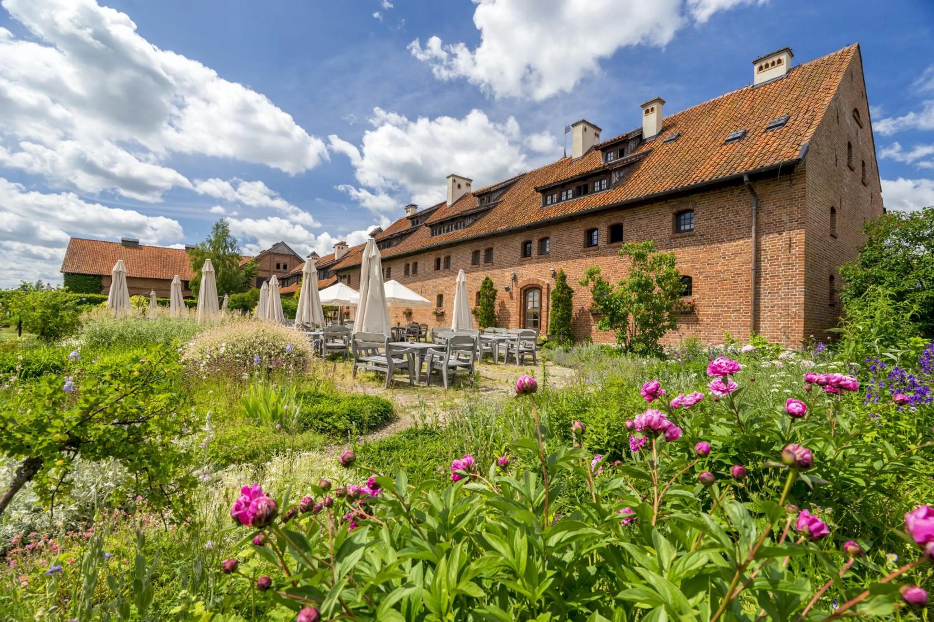 Natural landscape in Pałac Galiny