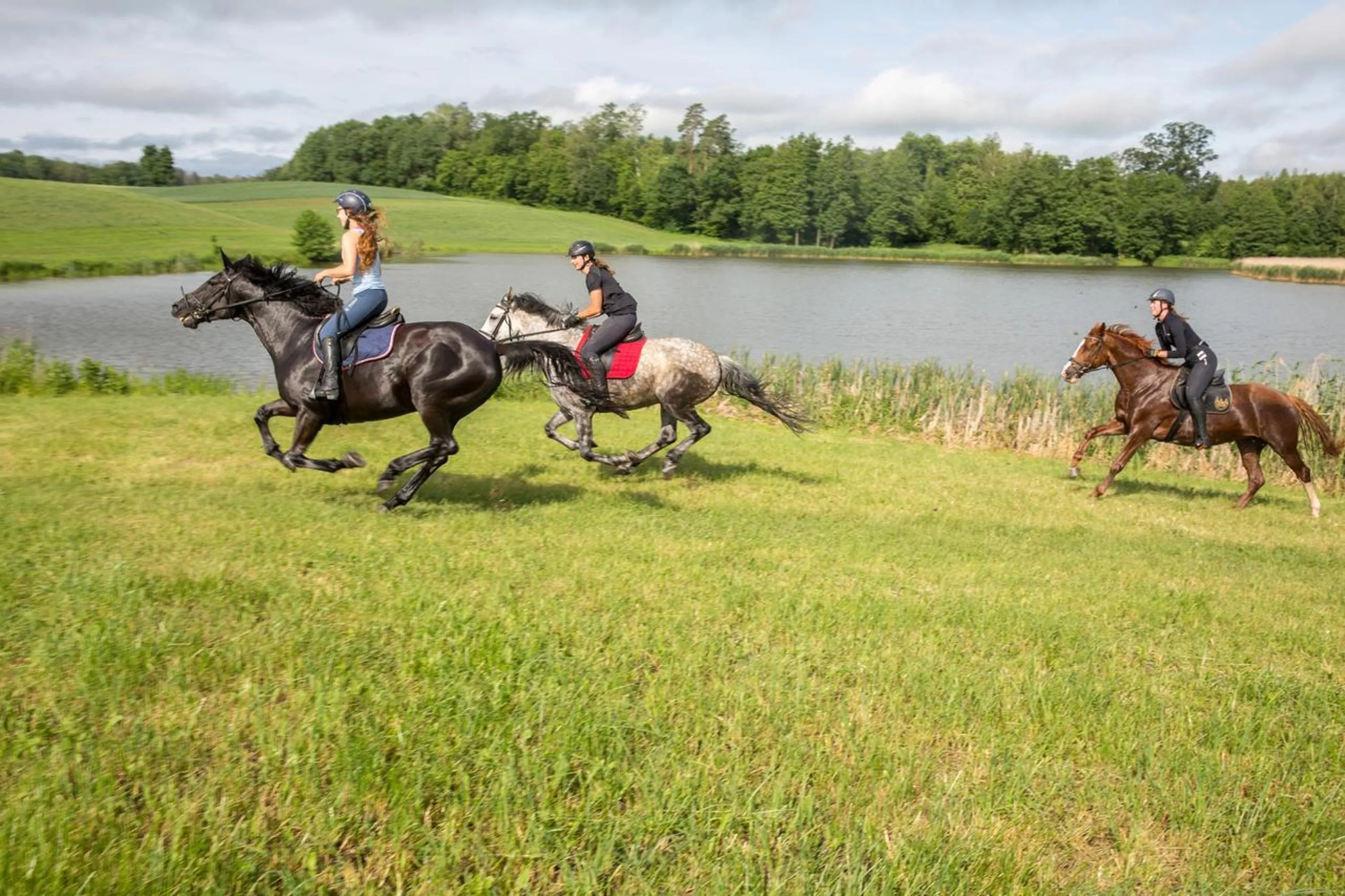 Horse-riding in Pałac Galiny
