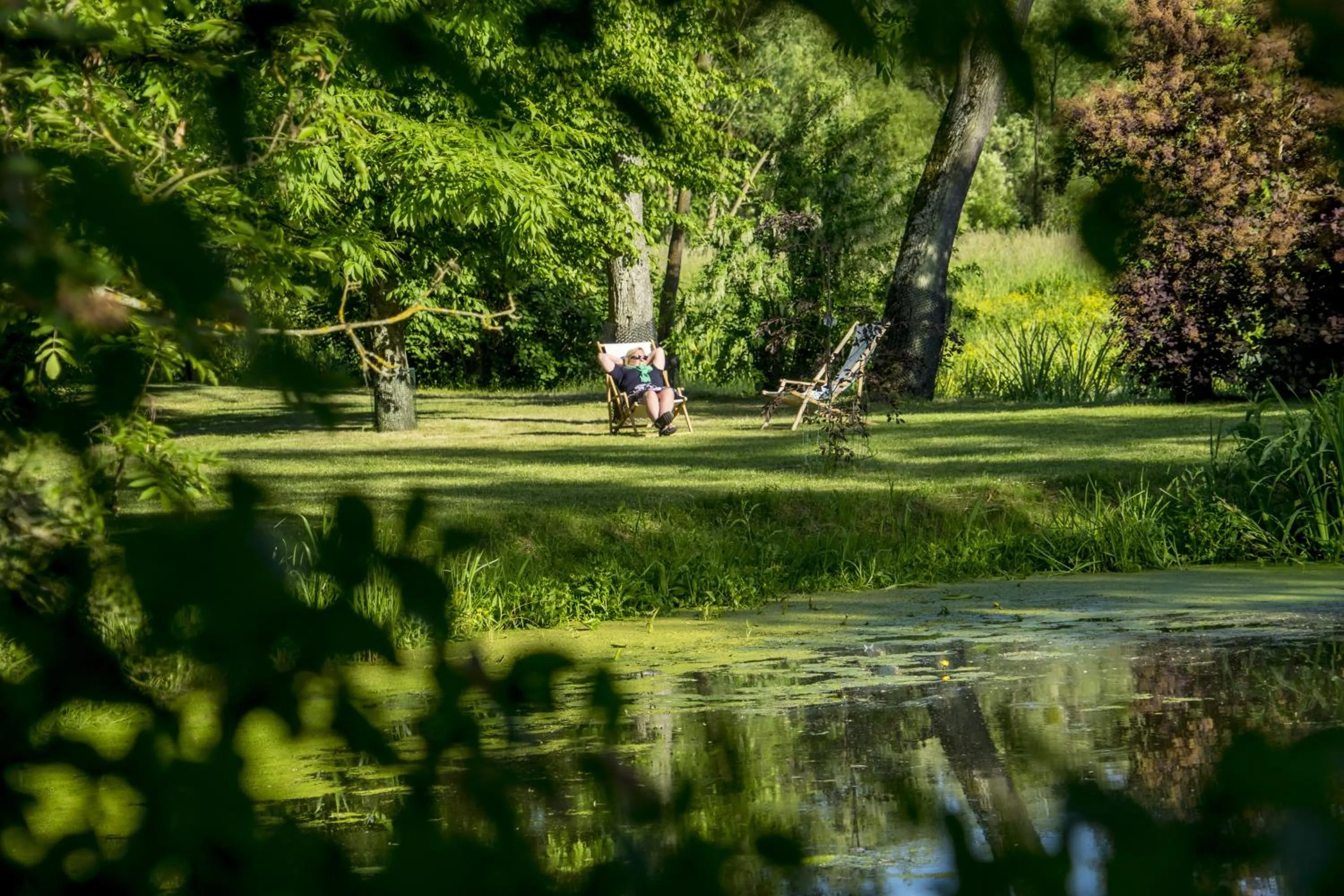 Garden in Pałac Galiny