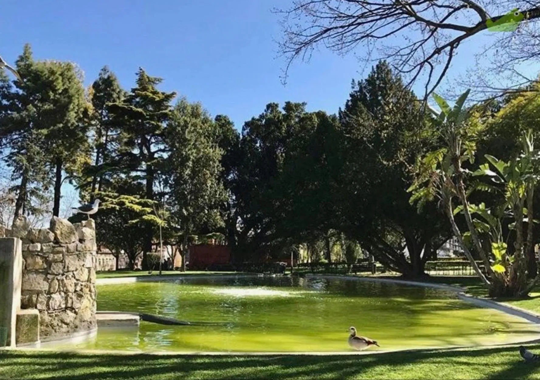 Neighbourhood in Lisbon Calling Rooms & Studio