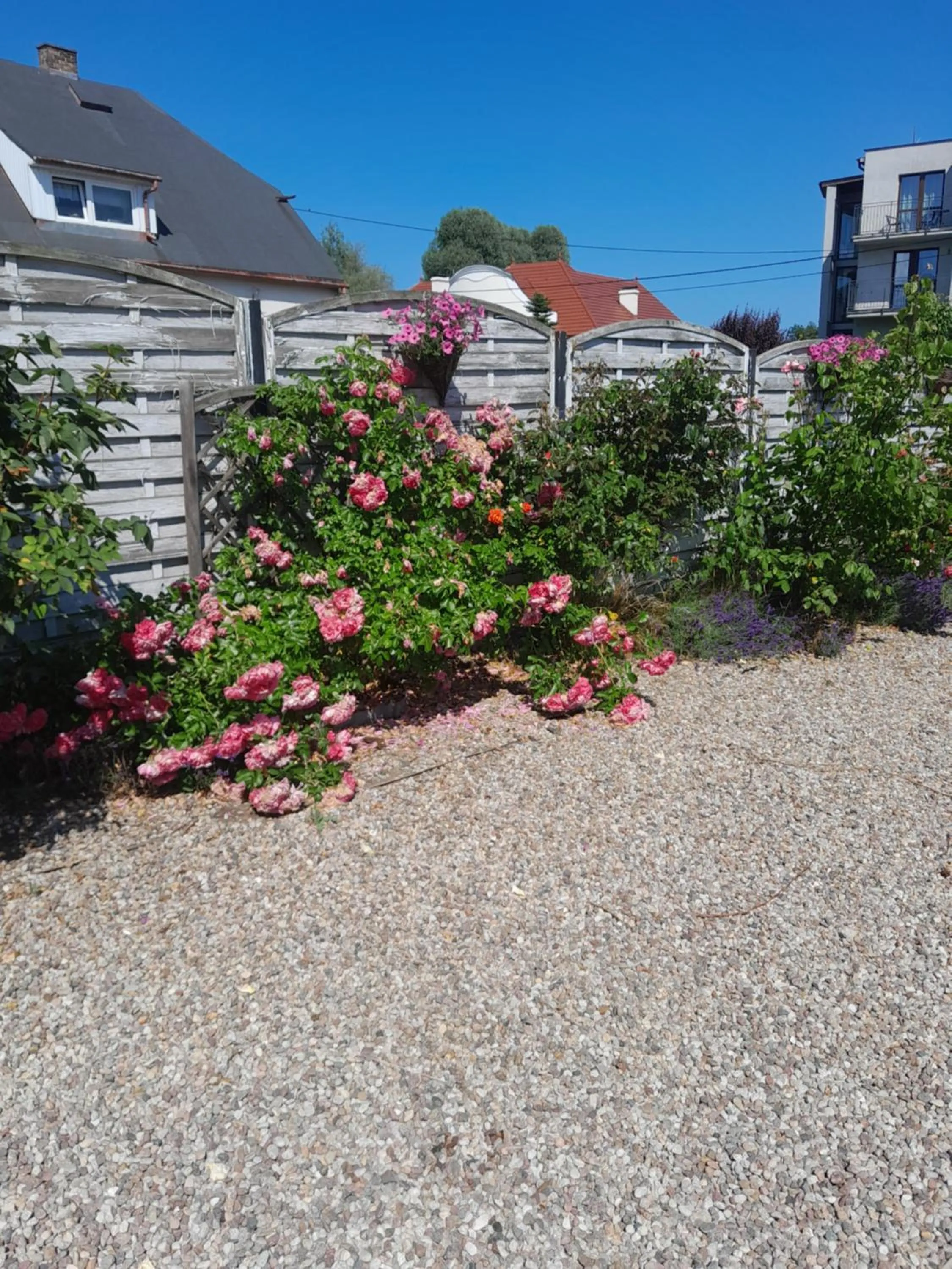 Garden in Willa SUNRISE