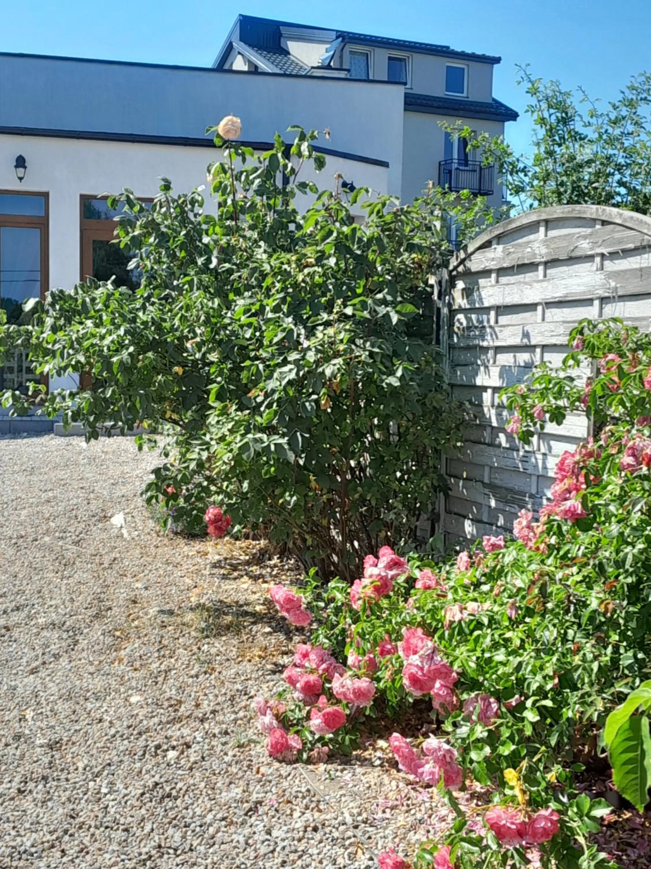 Garden in Willa SUNRISE