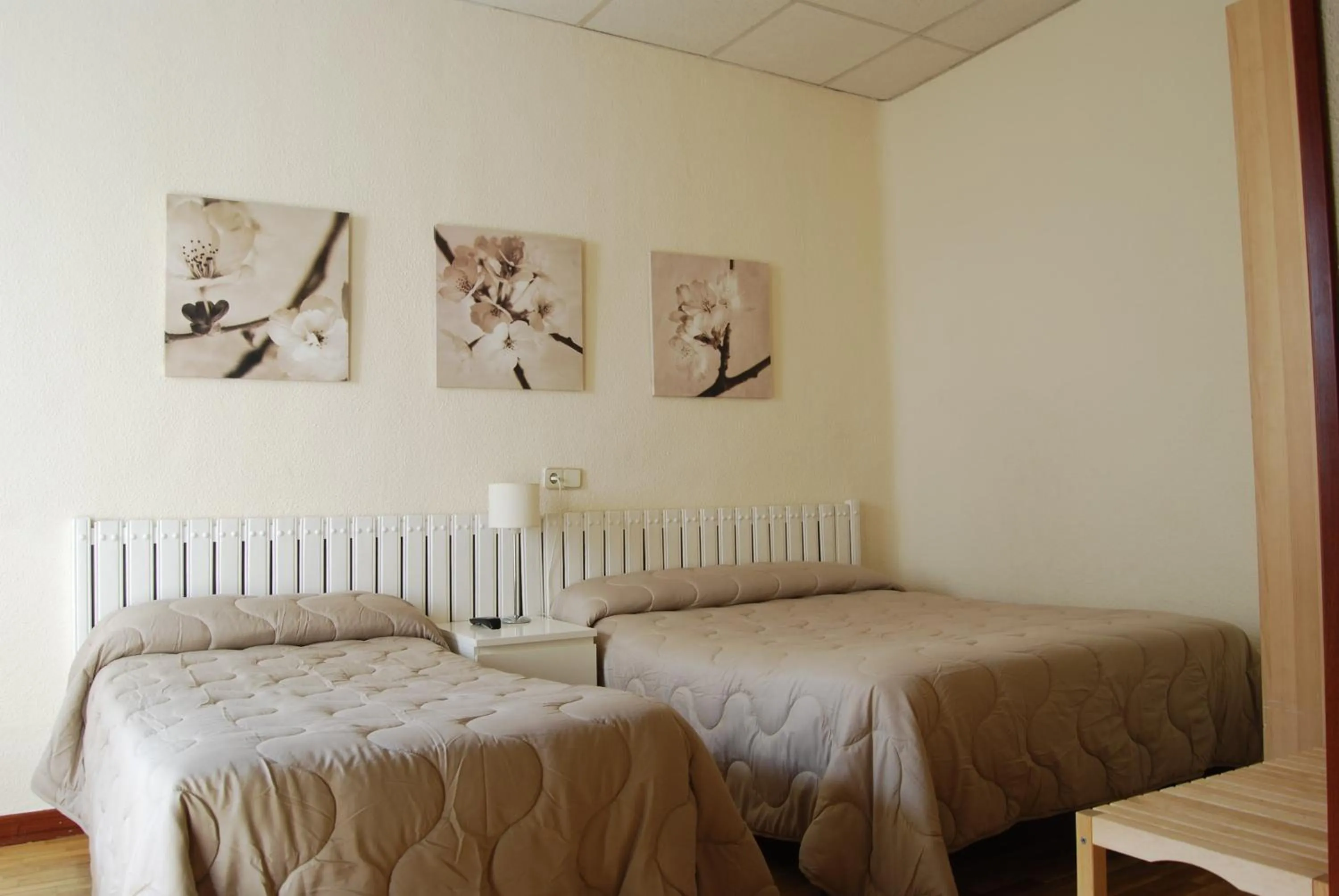 Photo of the whole room, Bed in Hostal America