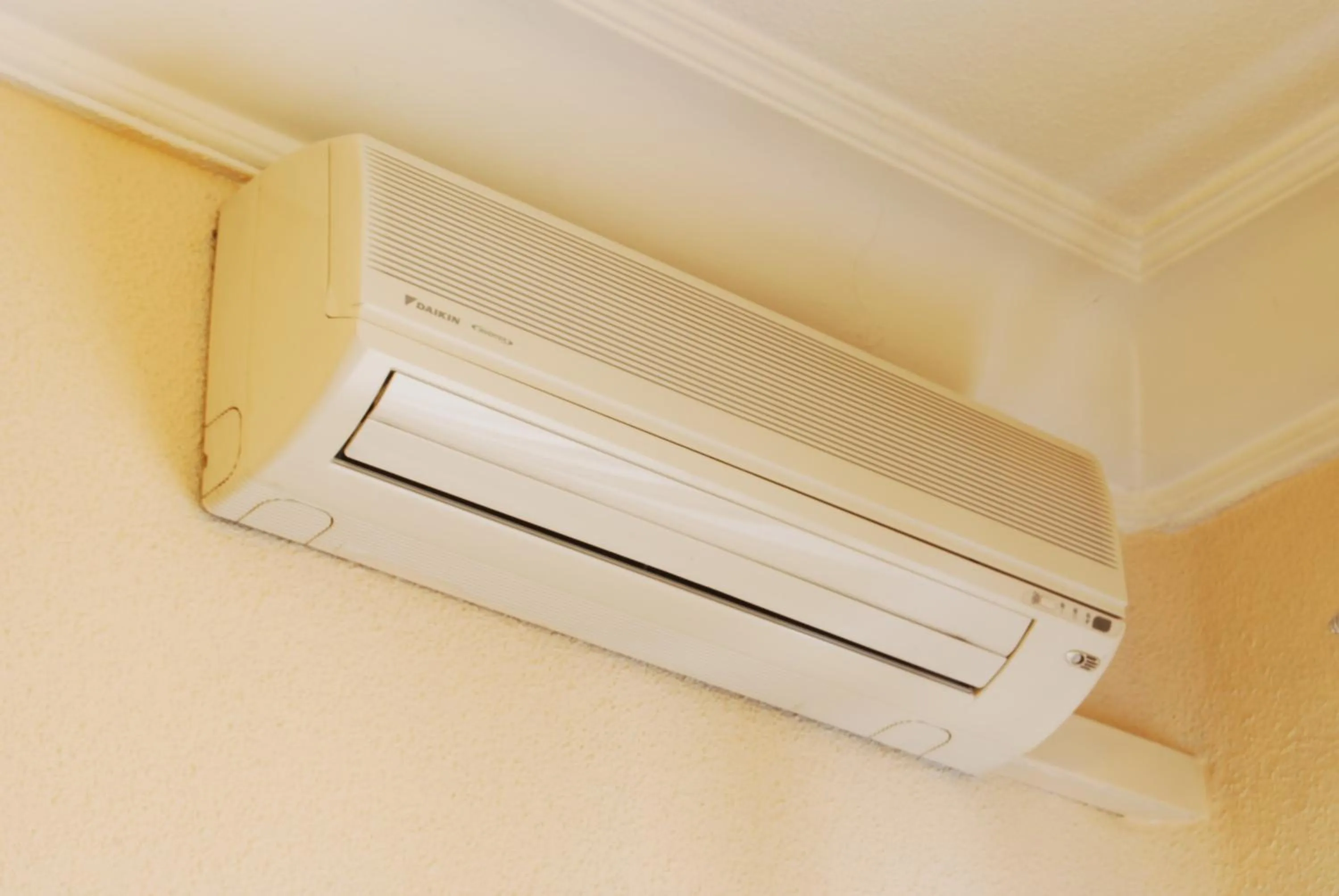 Other in Hostal America