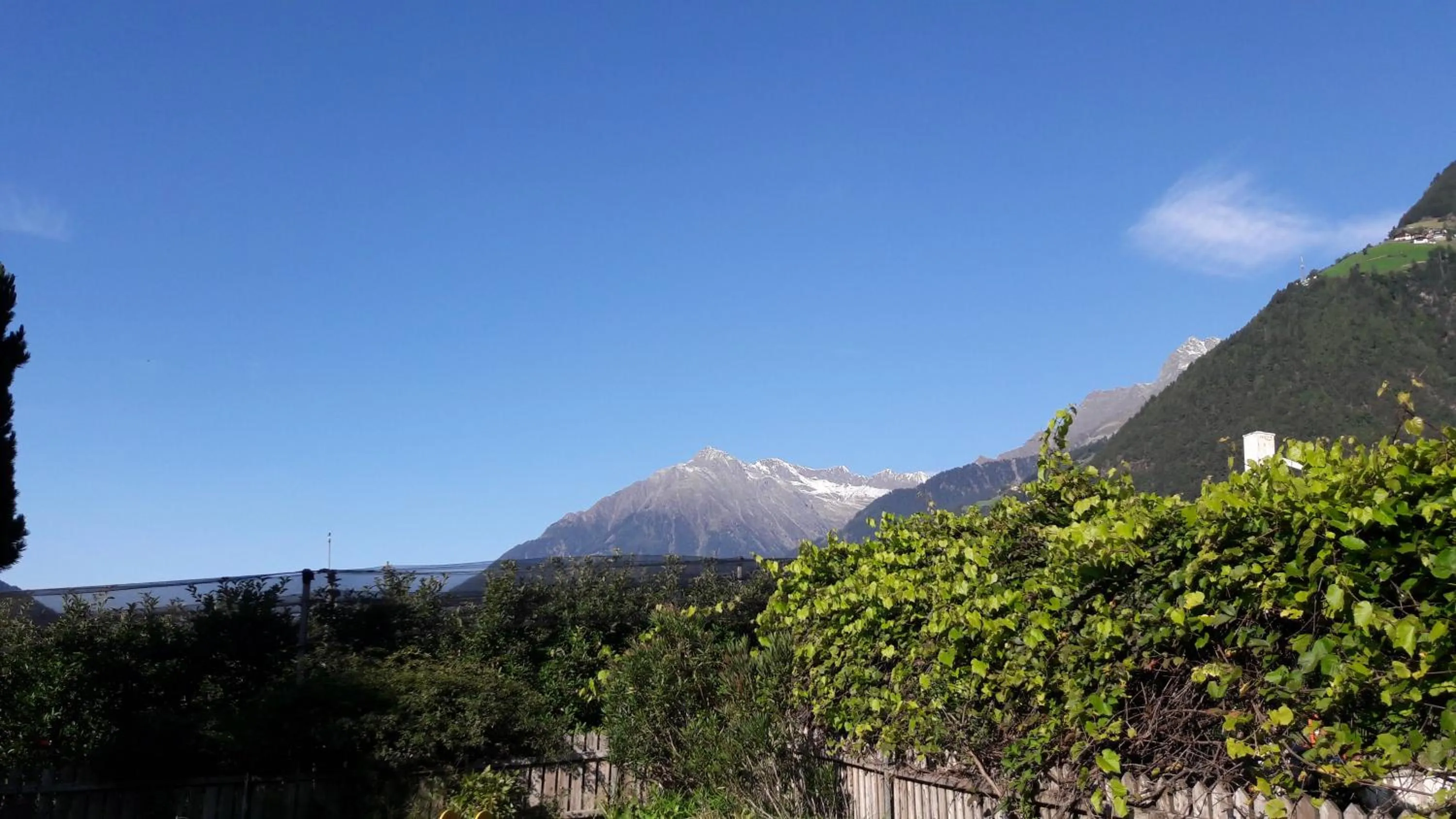 Natural landscape in Residence Lenzenau