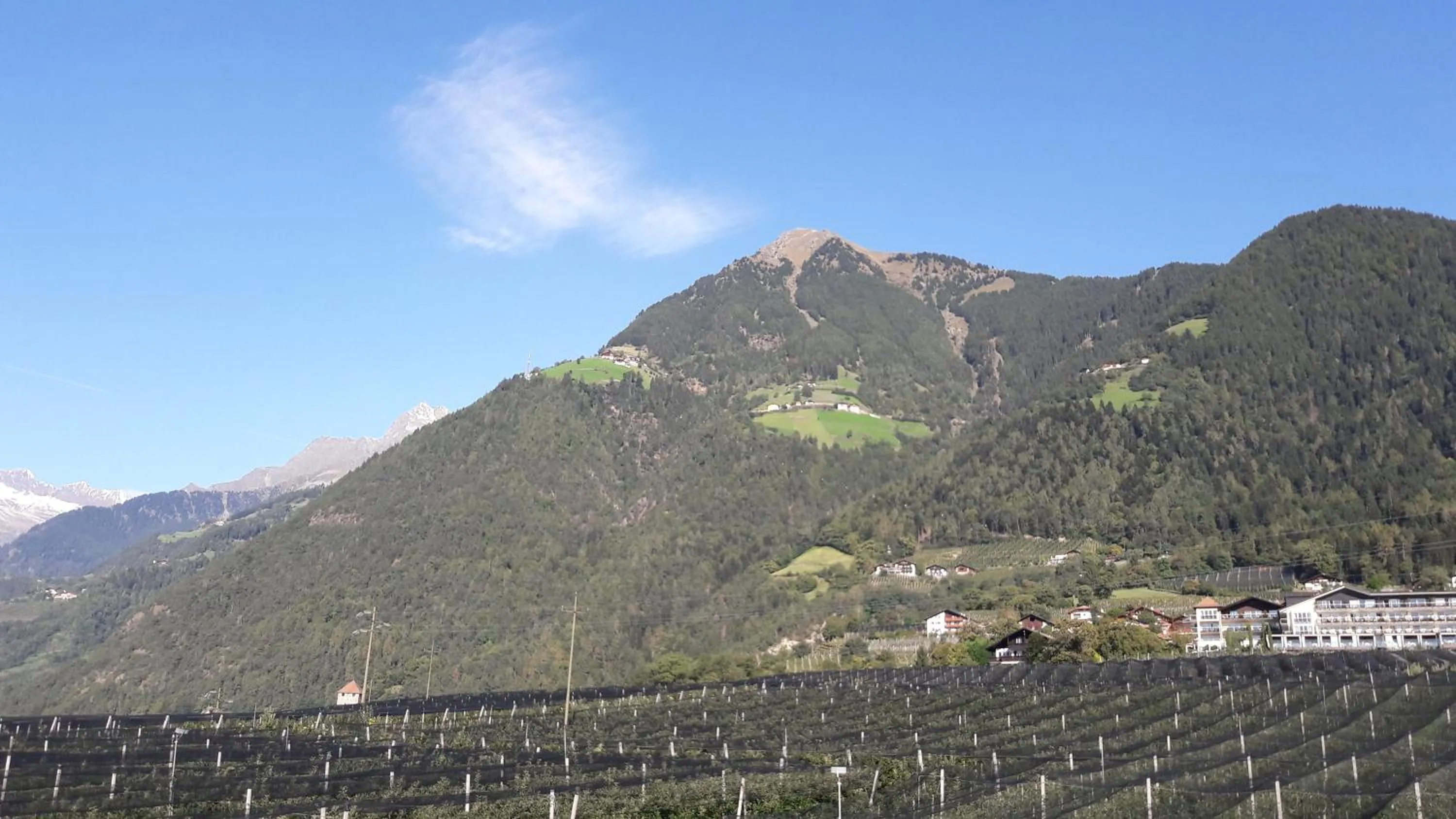 Natural landscape in Residence Lenzenau