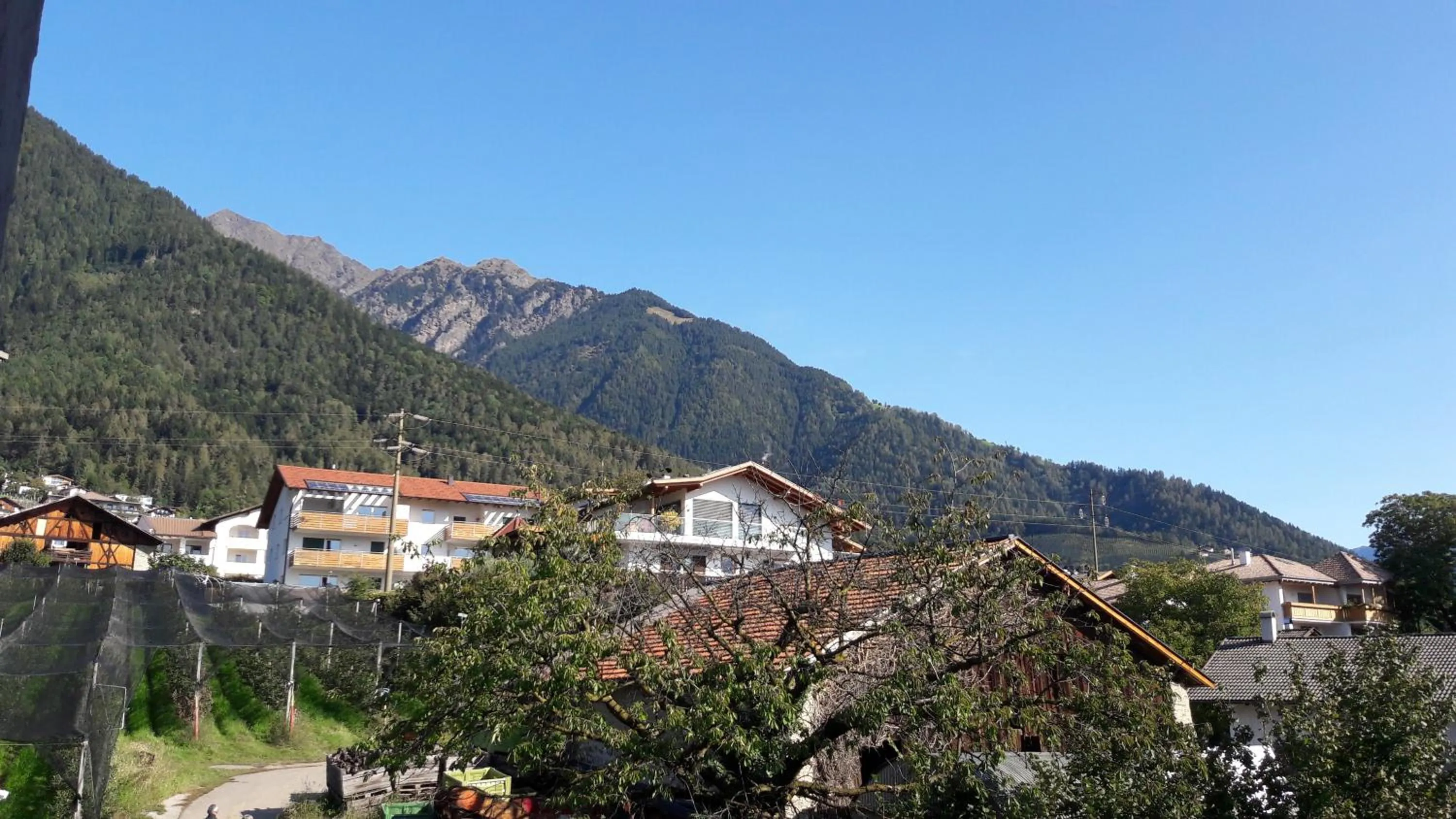 Street view in Residence Lenzenau