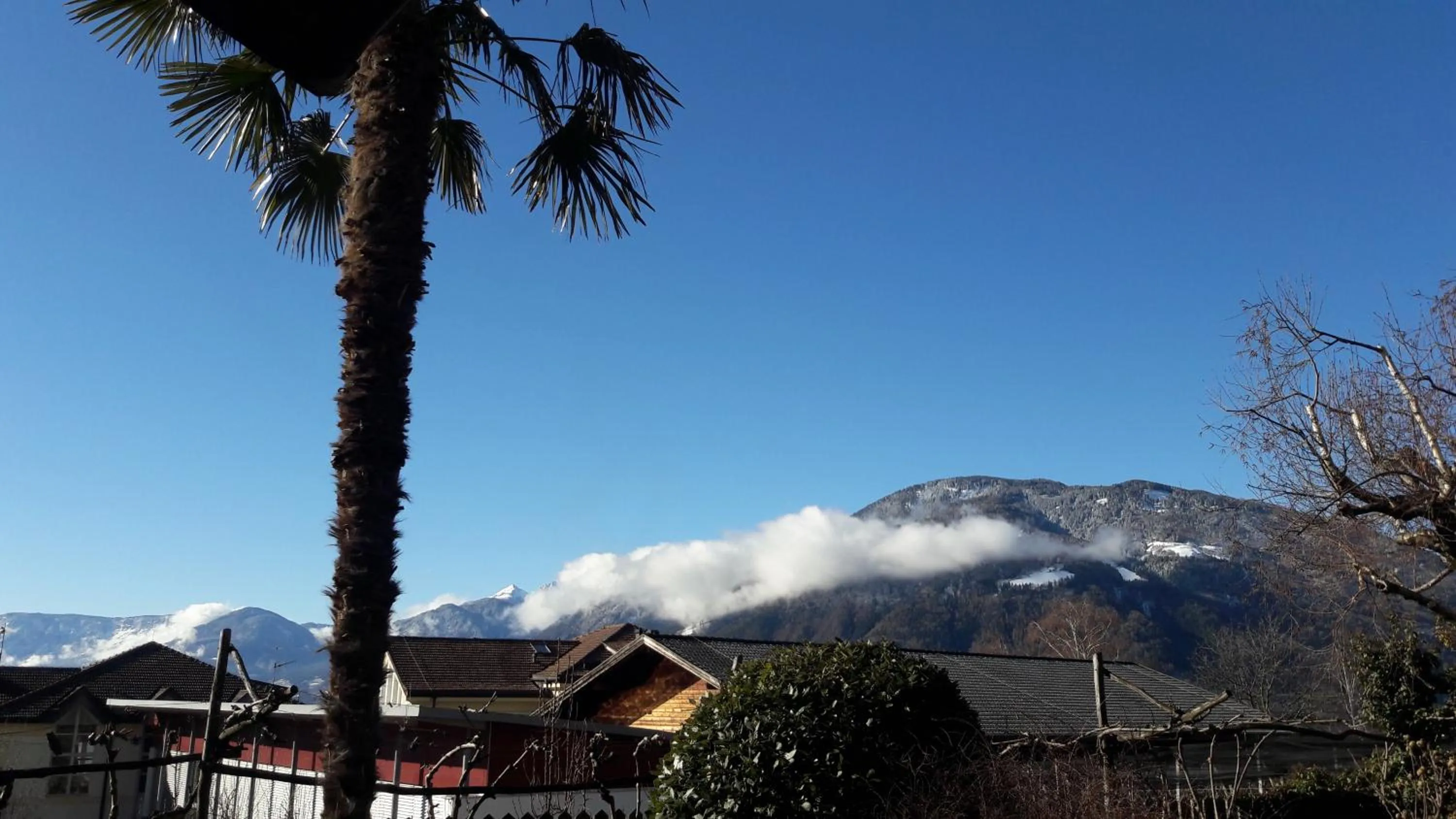 Natural landscape in Residence Lenzenau