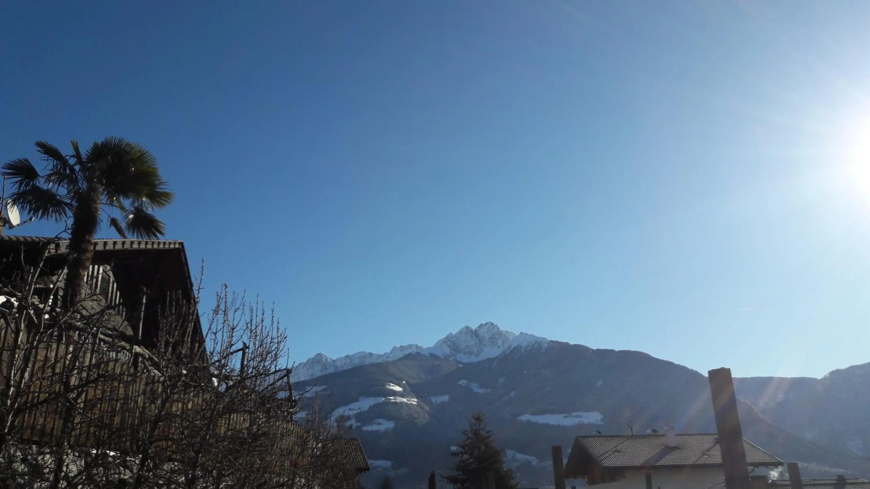 Natural landscape in Residence Lenzenau