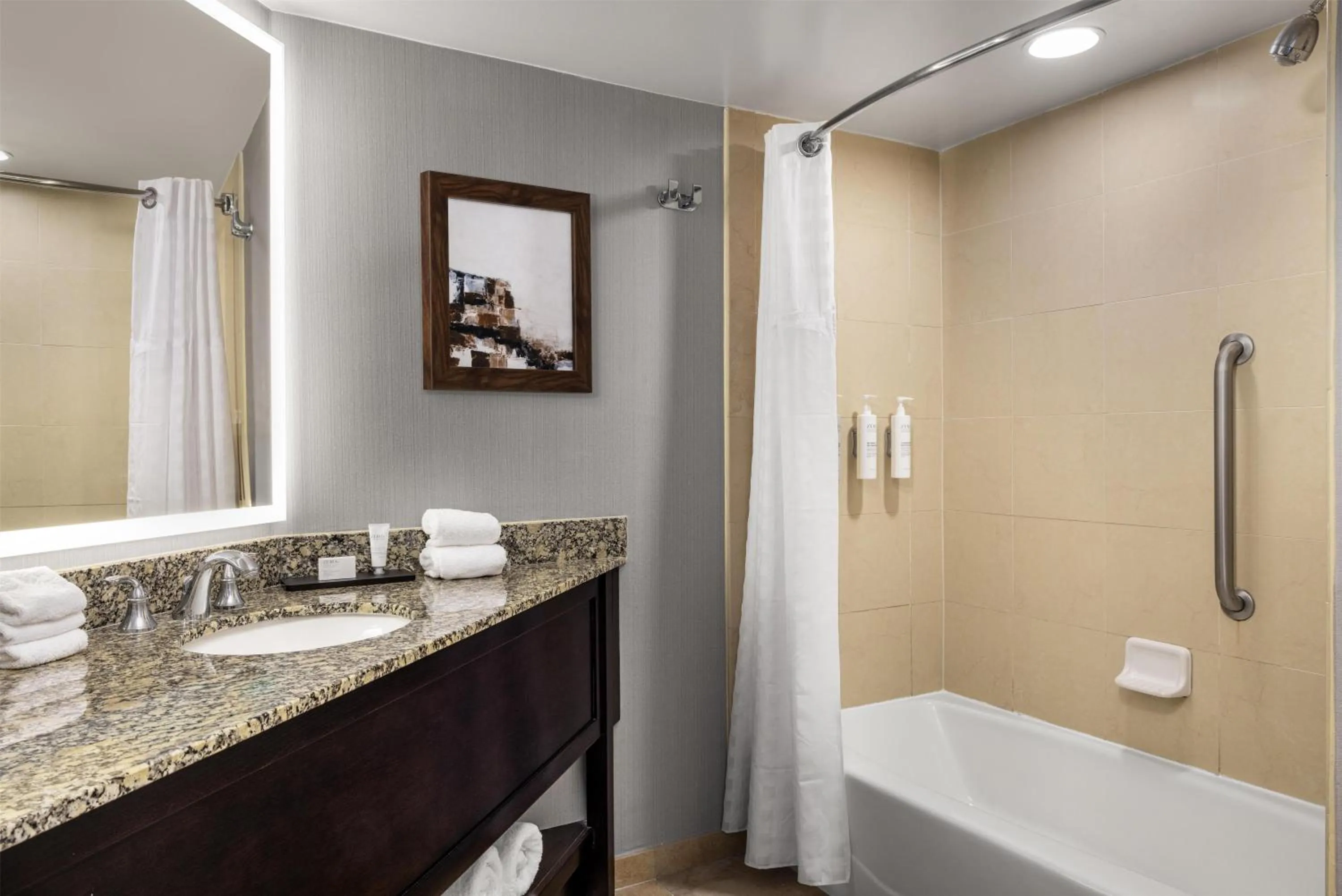 Bathroom in Embassy Suites Birmingham