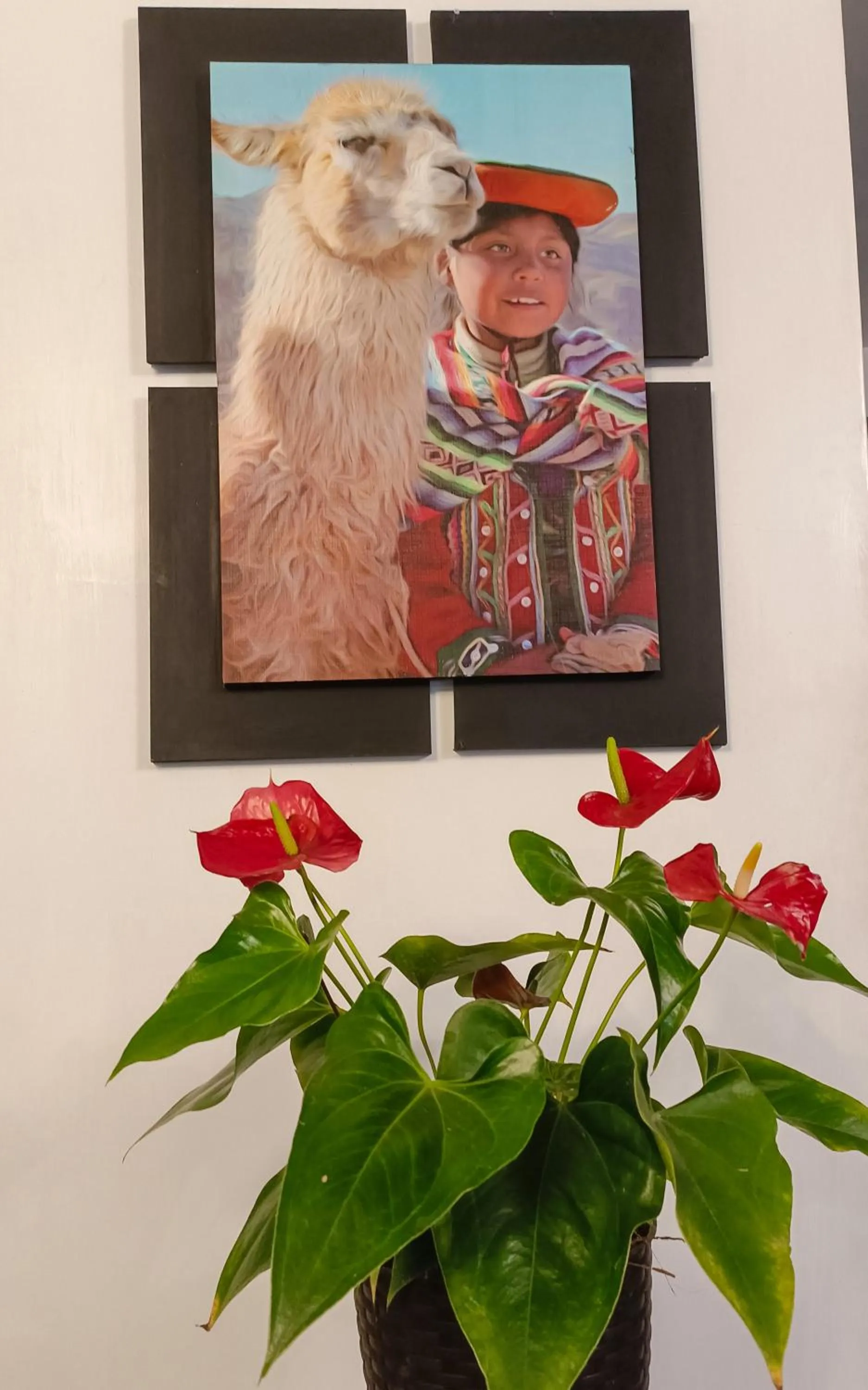 Garden in Hotel Machupicchu Adventure