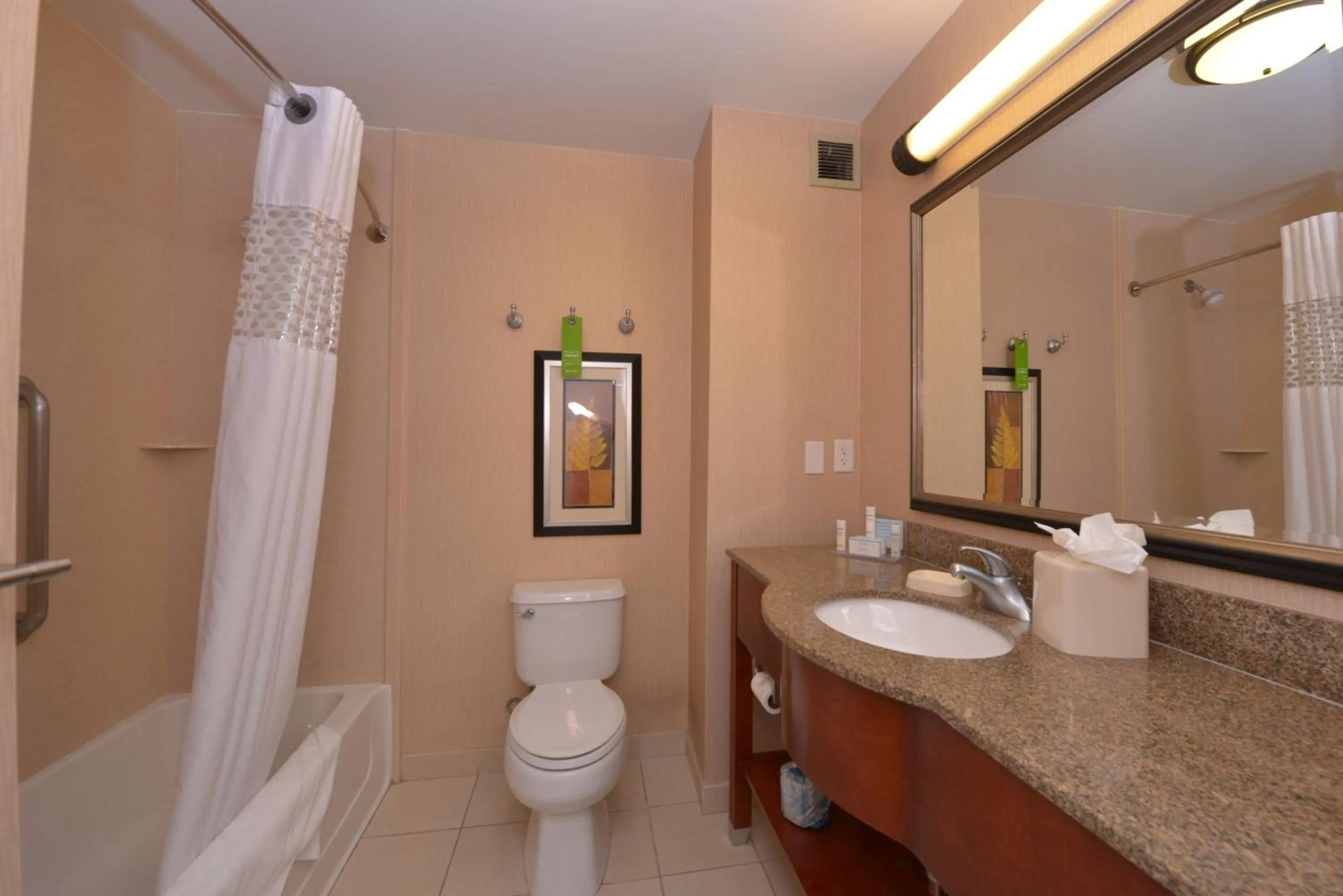 Bathroom in Hampton Inn and Suites Bakersfield North-Airport