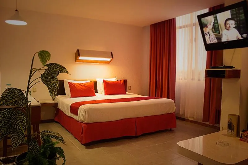 Bed in Hotel Enriquez