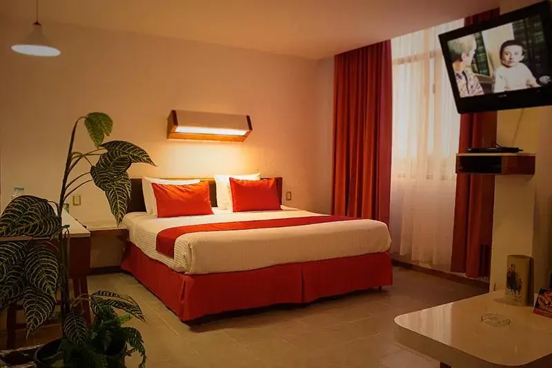 Superior Suite - single occupancy in Hotel Enriquez Superior Suite - single occupancy in Hotel Enriquez