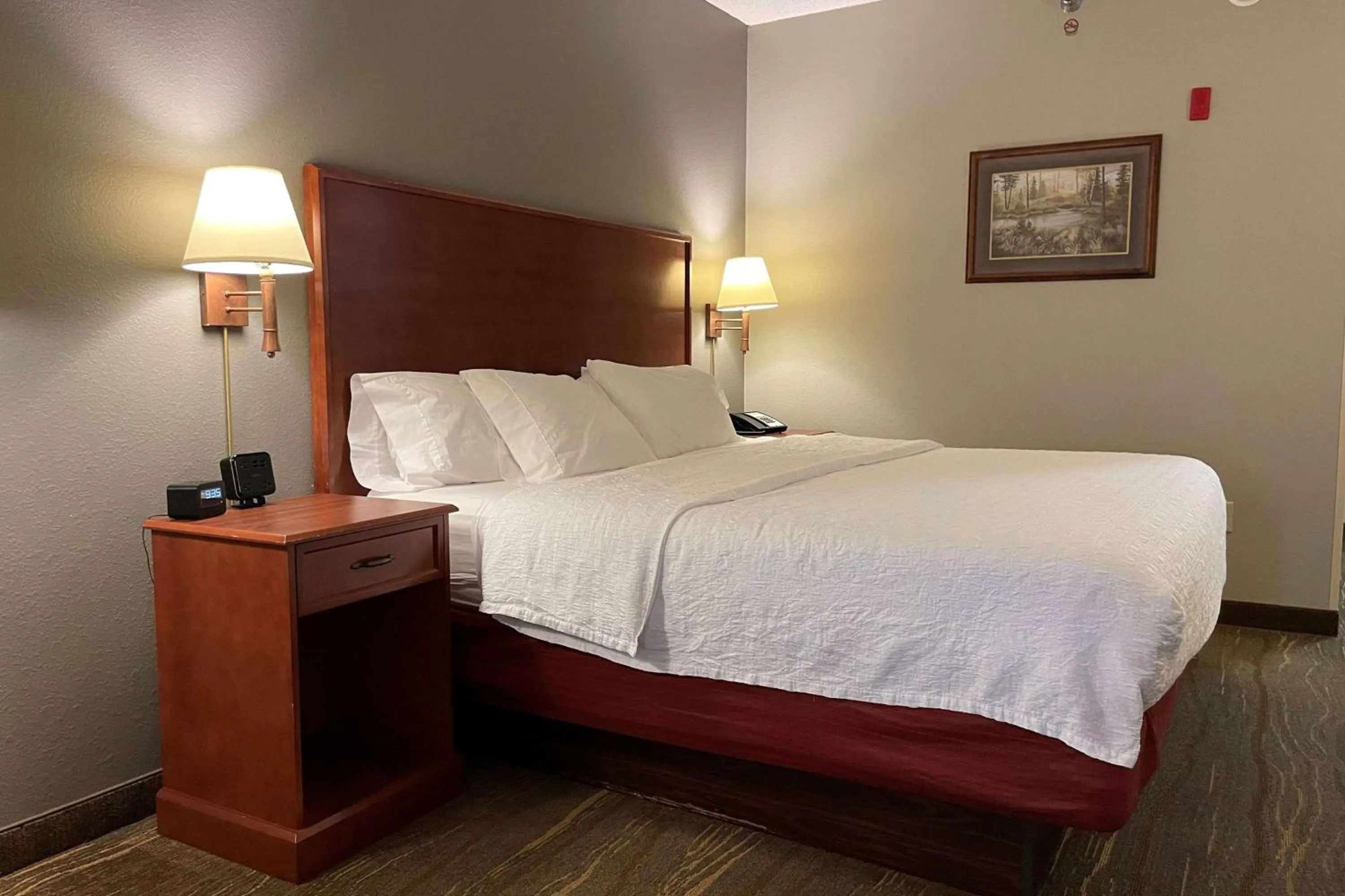 Photo of the whole room, Bed in SouthShore Hotel on Lake Bemidji, Trademark Coll by Wyndham