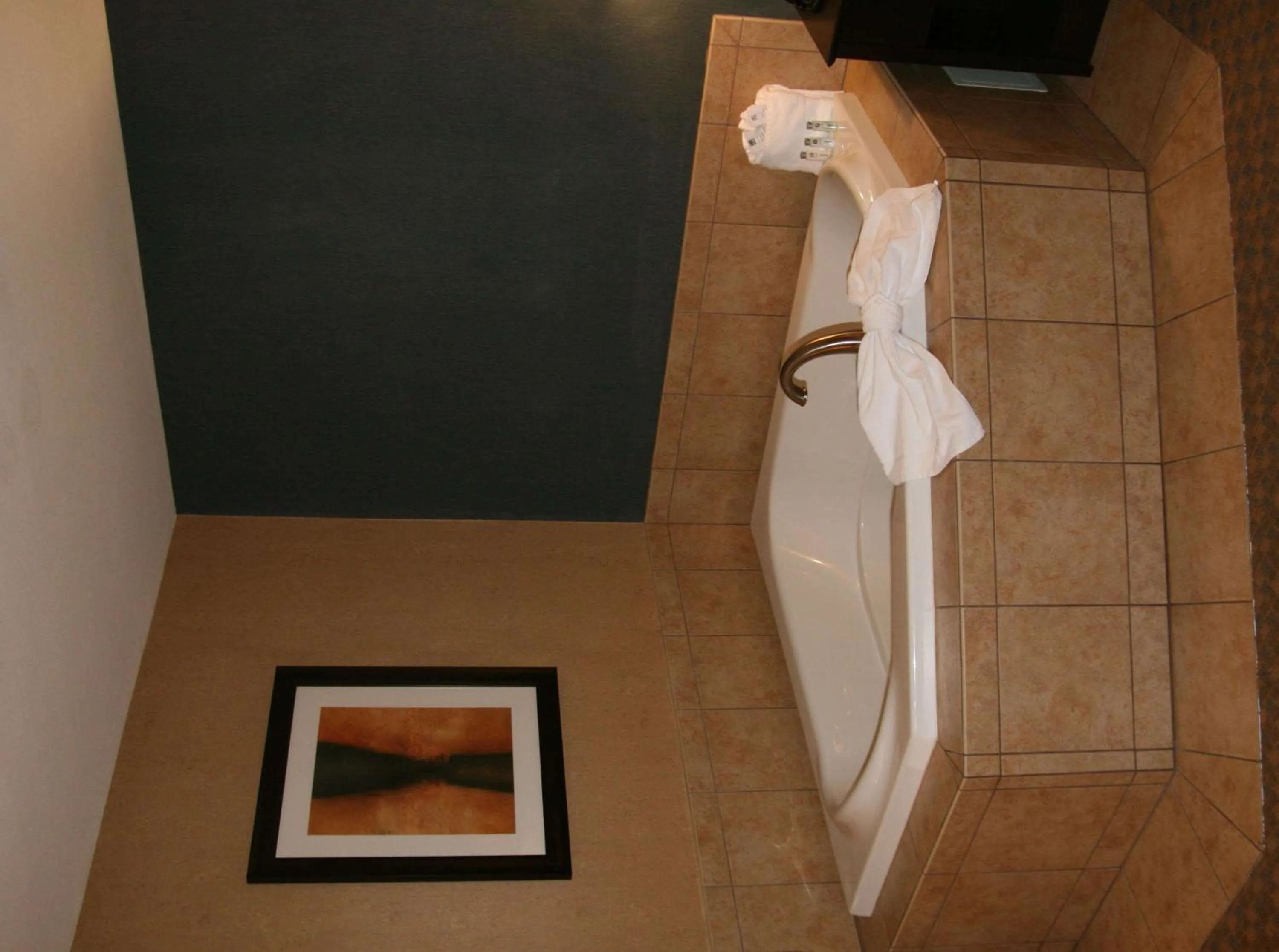 Bathroom in Hampton Inn and Suites Barstow