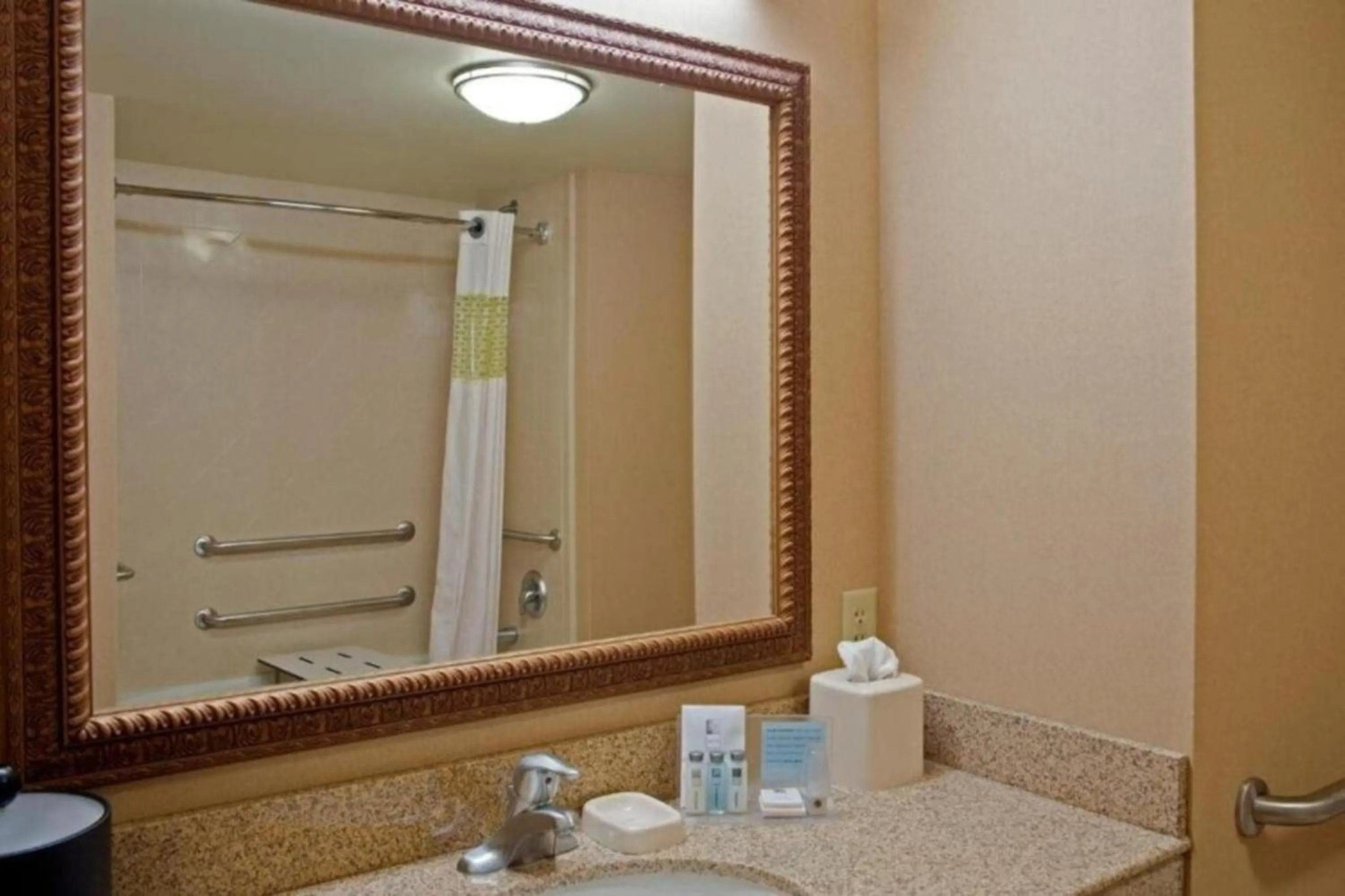 Bathroom in Hampton Inn & Suites Bloomington-Normal