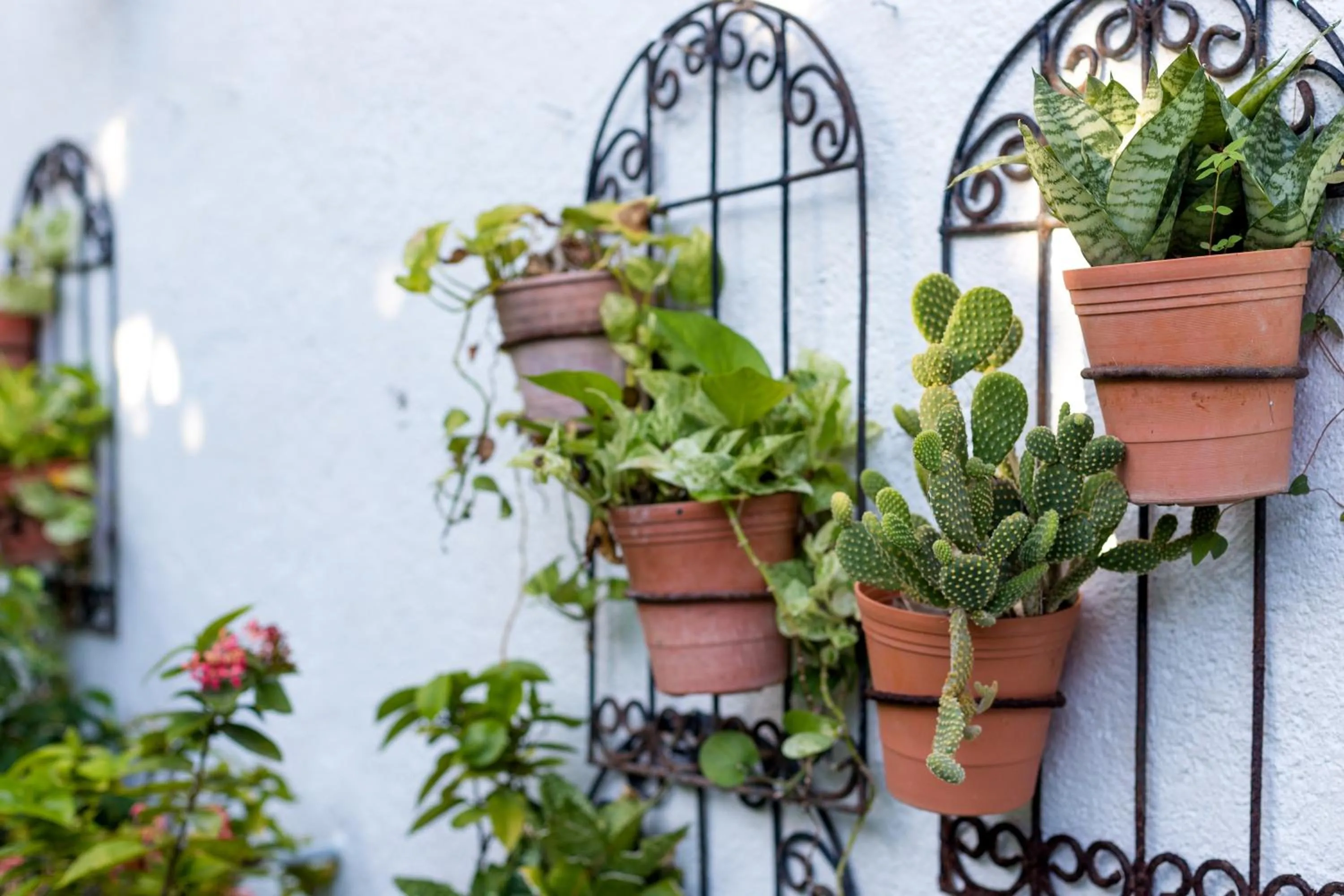 Patio in Merida Serviced Apartments