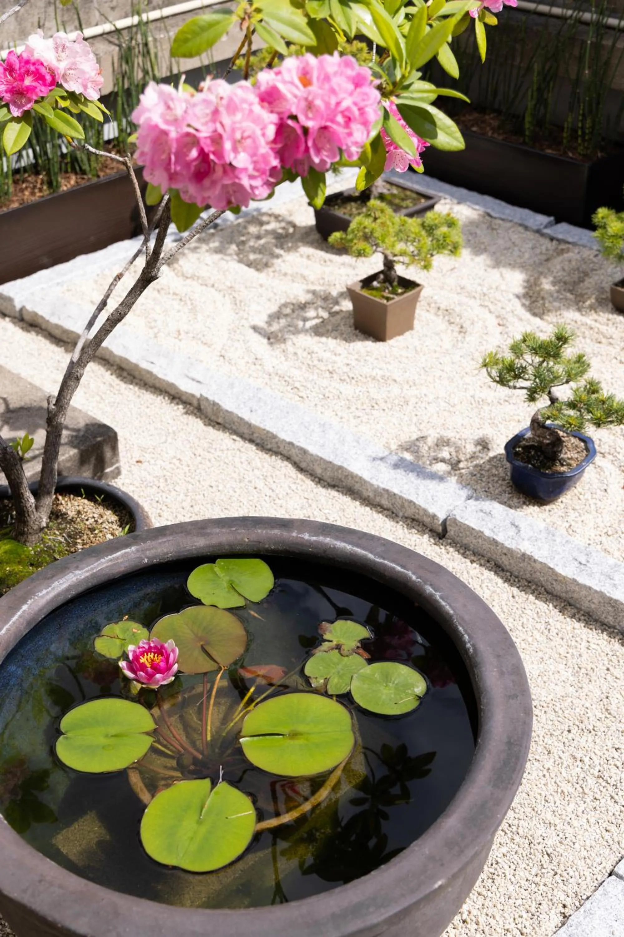 Garden in Ryokan Asakusa Shigetsu