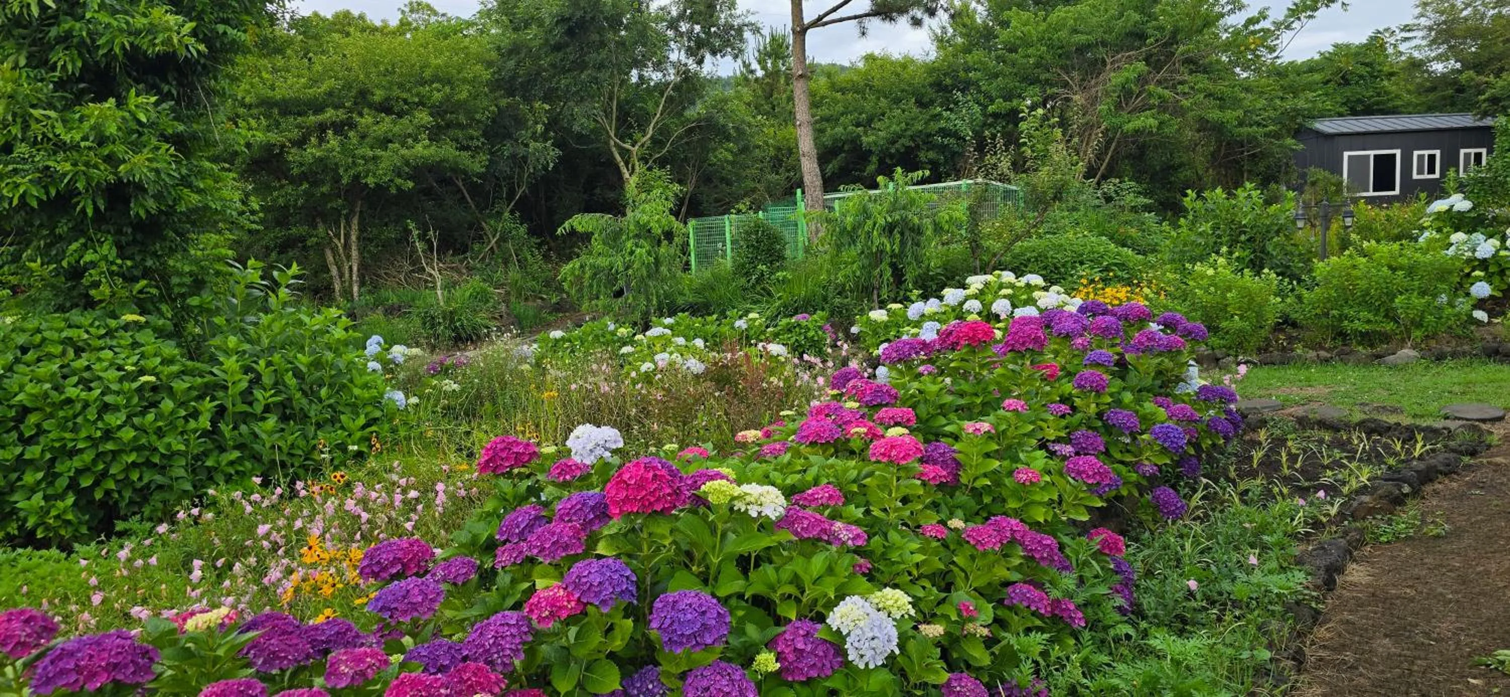 Gotjawal Geomunoreum Pension