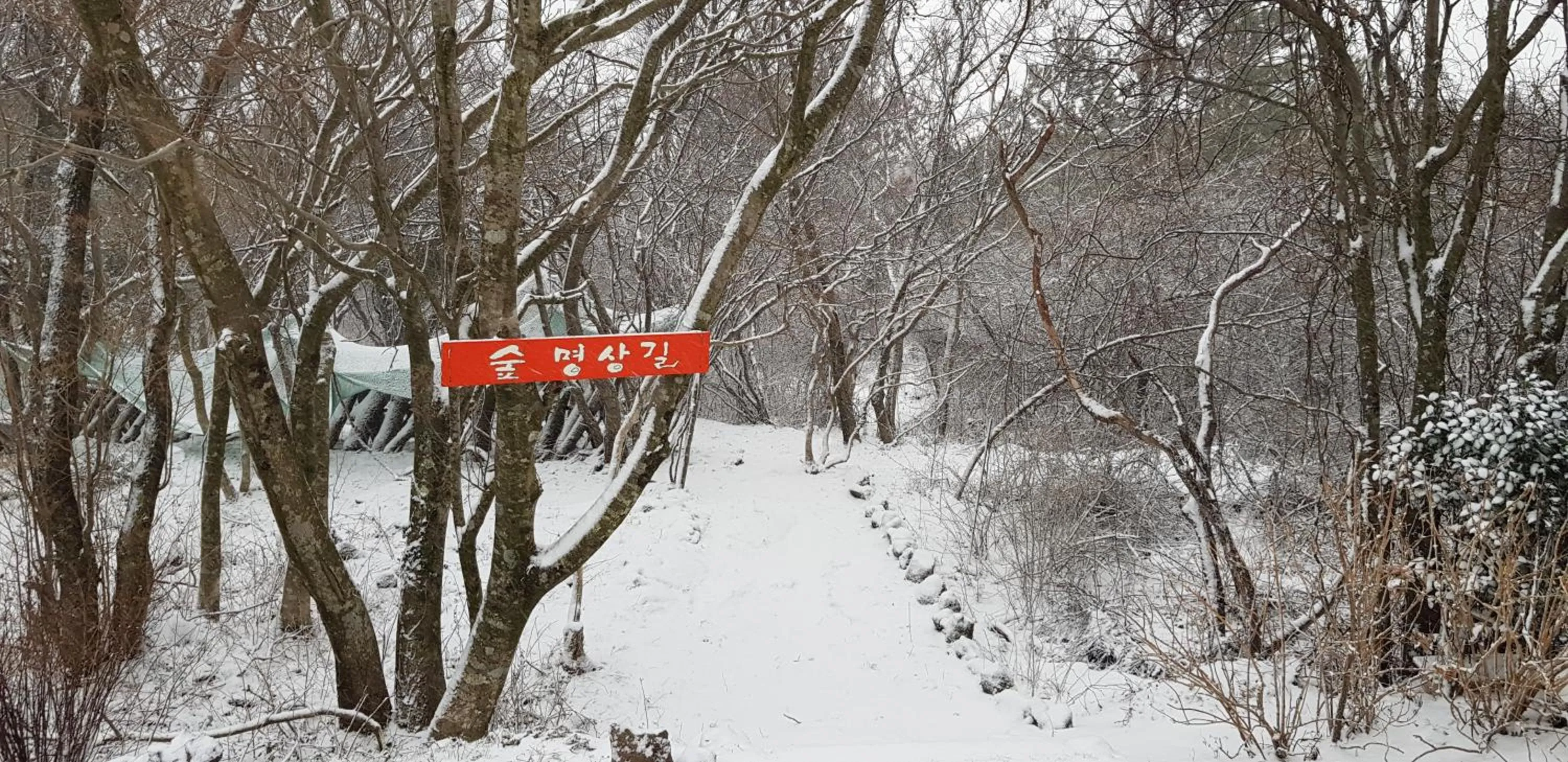 Gotjawal Geomunoreum Pension