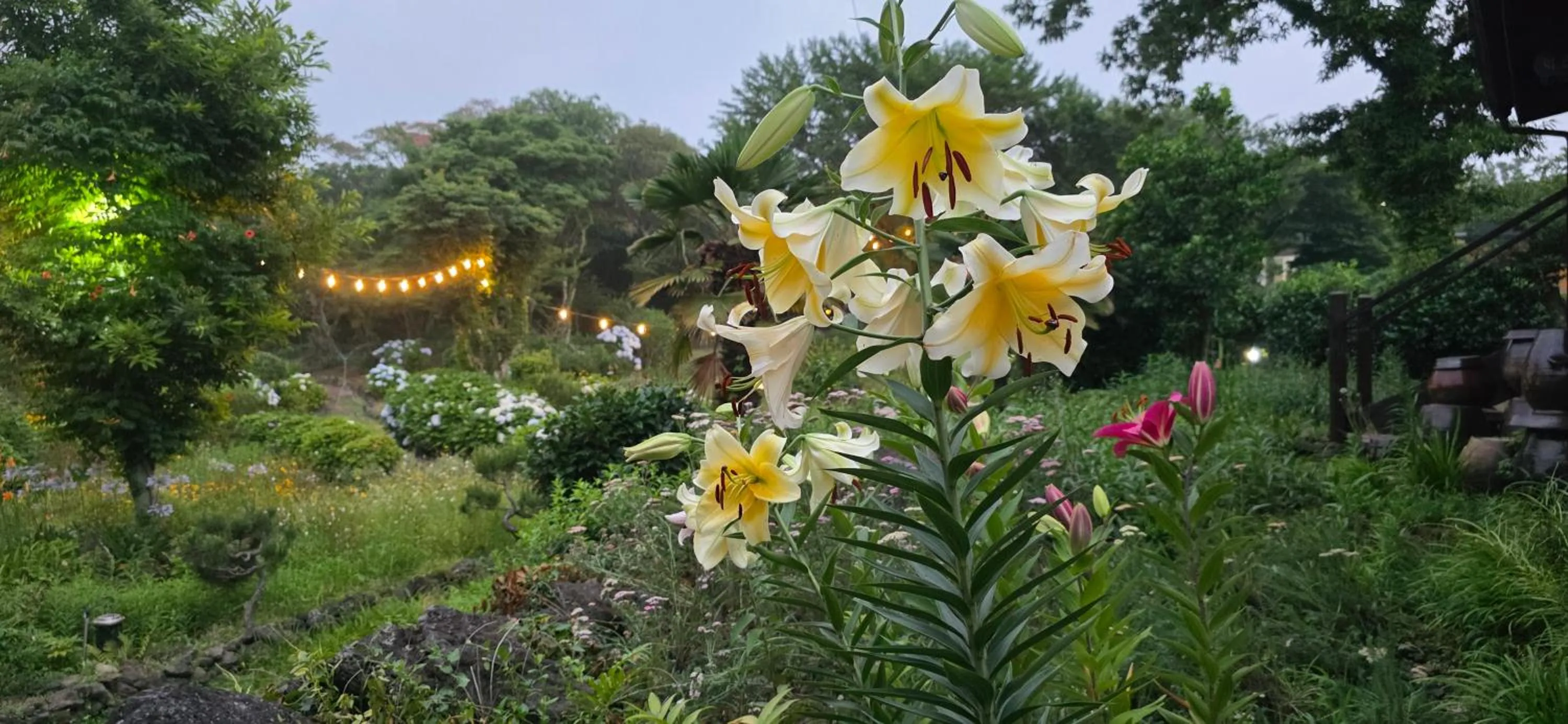 Gotjawal Geomunoreum Pension