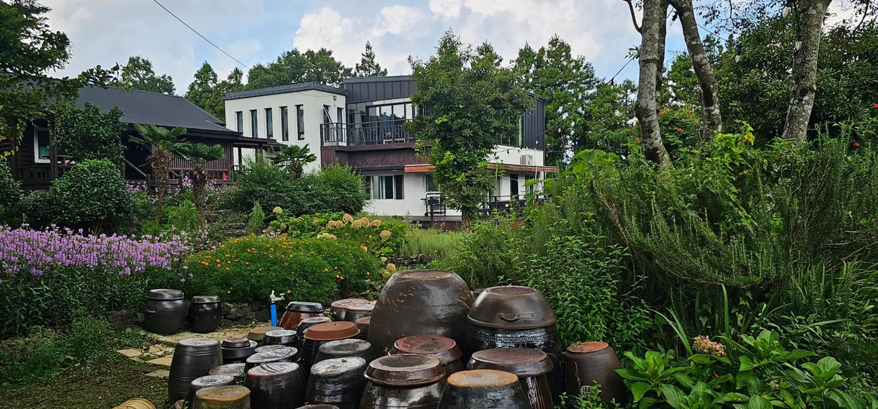 Gotjawal Geomunoreum Pension