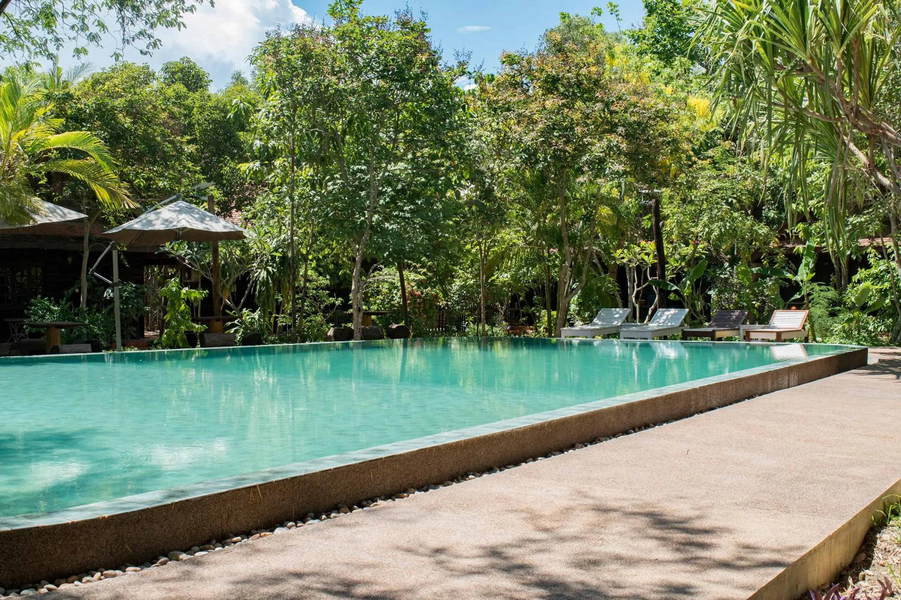 Swimming pool in Palm Village Resort & Spa