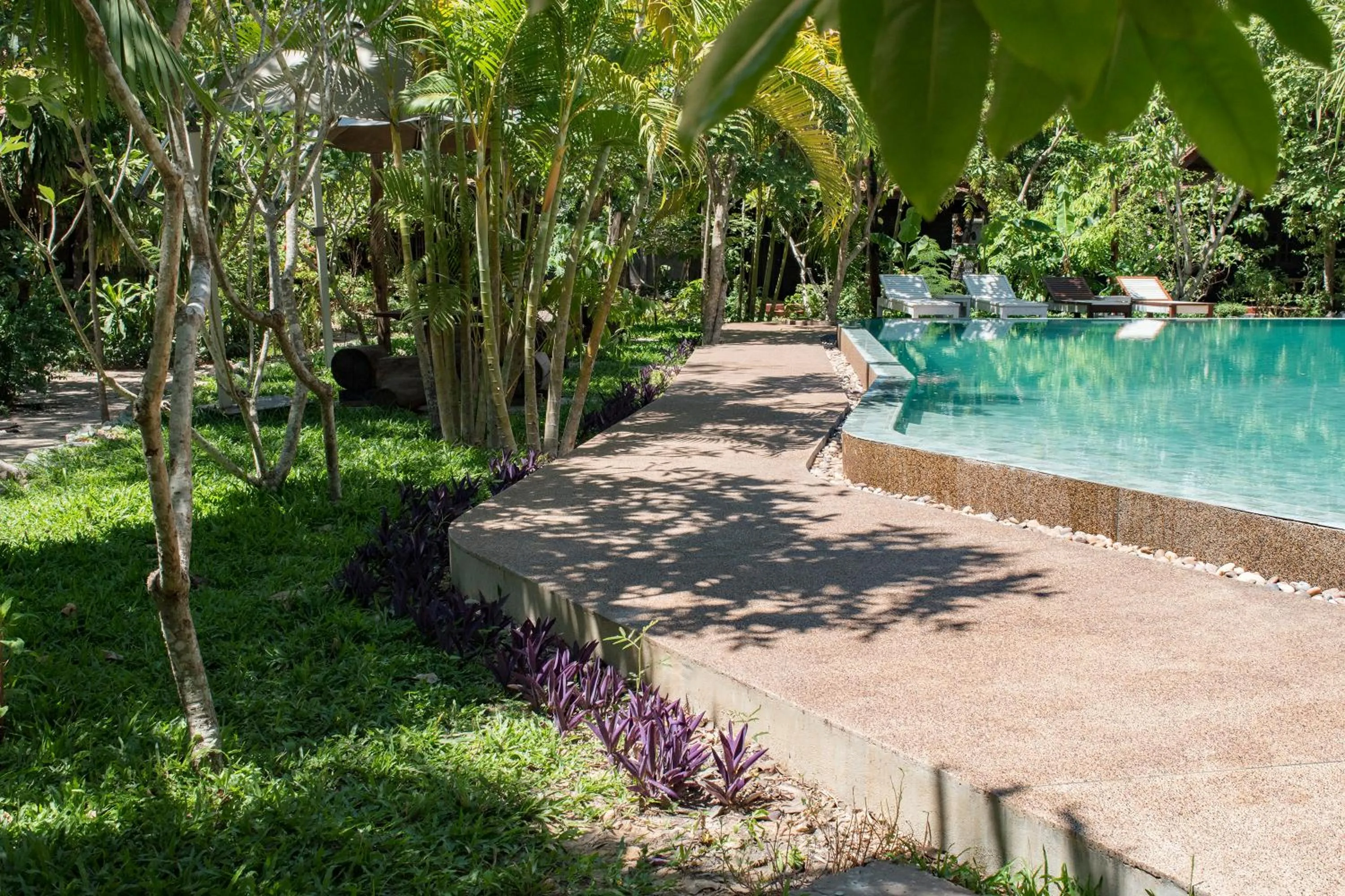 Swimming pool in Palm Village Resort & Spa