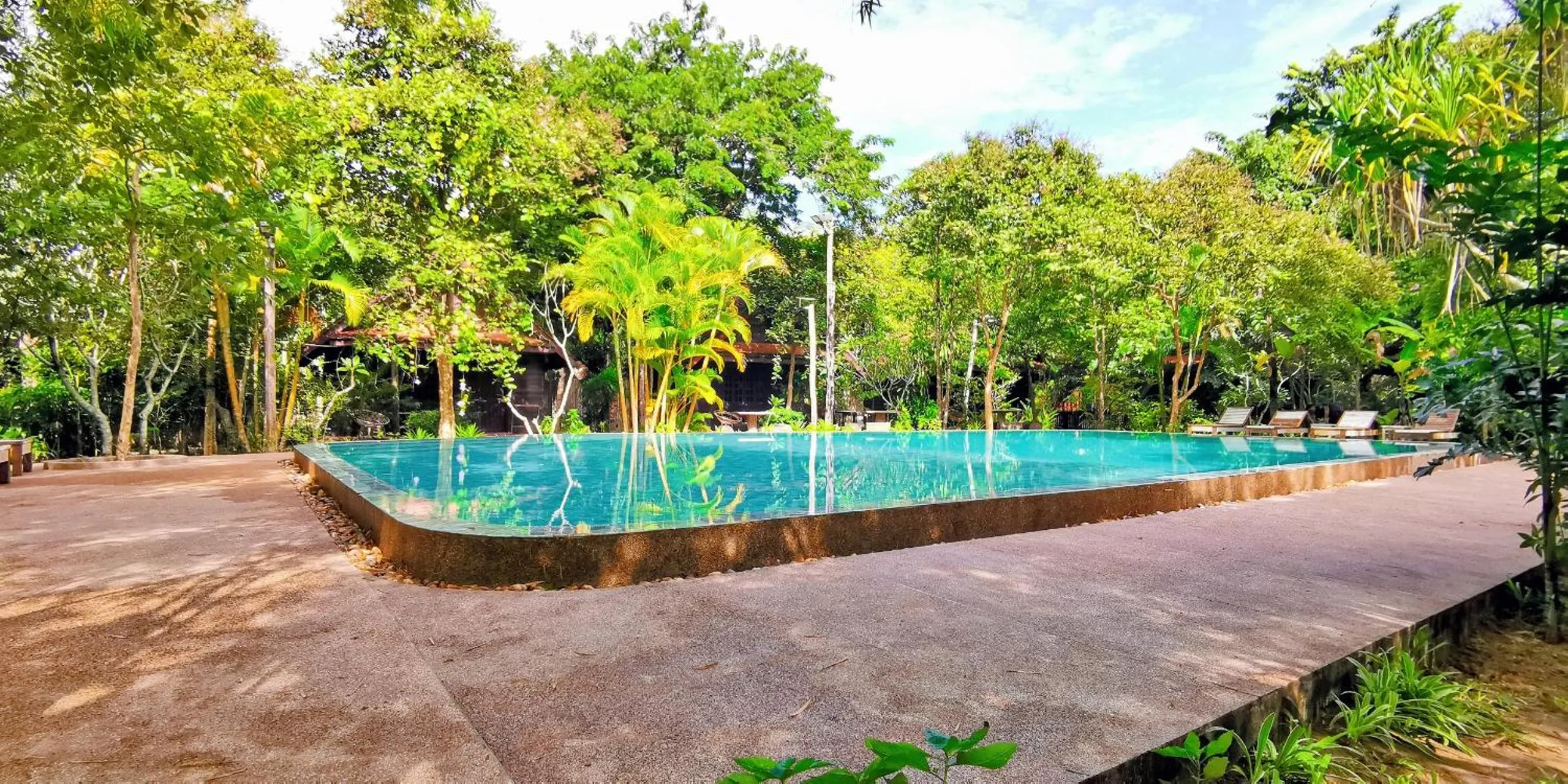Pool view in Palm Village Resort & Spa