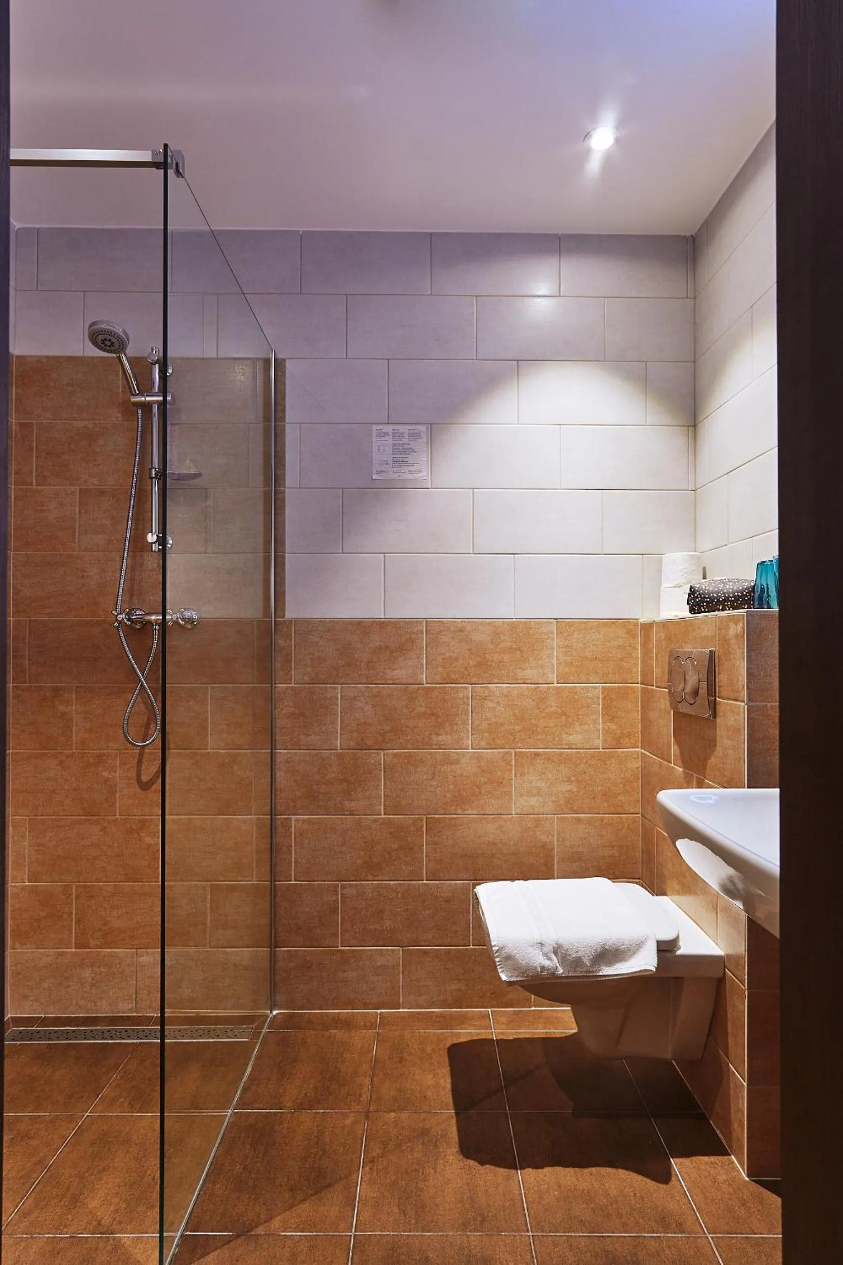 Shower in Penzion BERG