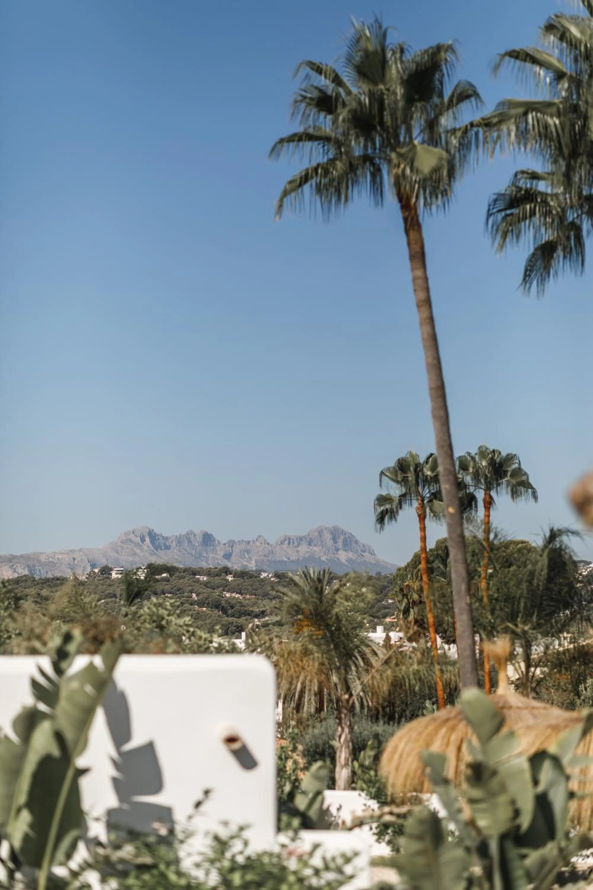 Day in Boutique Hotel Los Limoneros