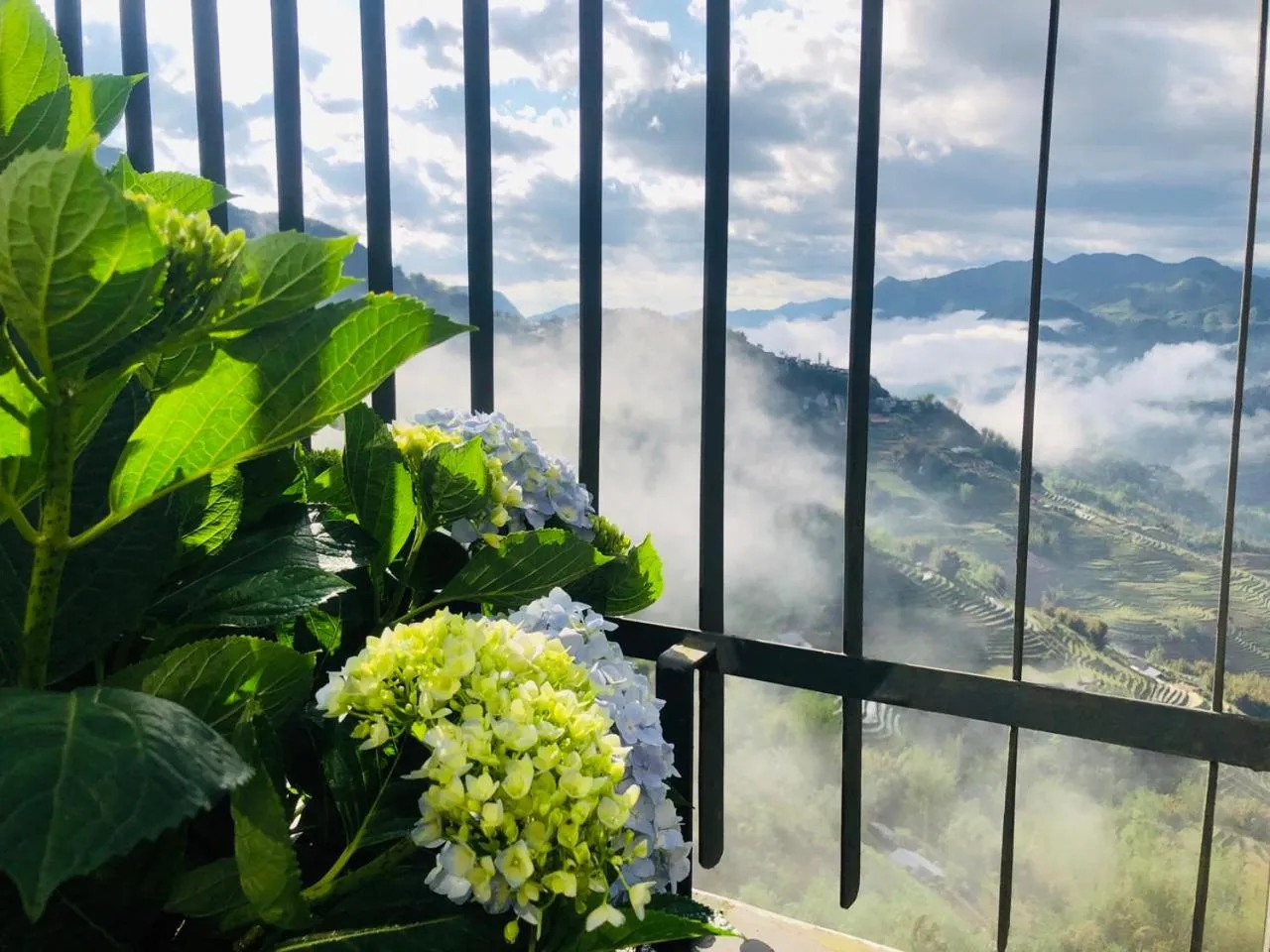 Garden in Pao's Sapa Leisure Hotel