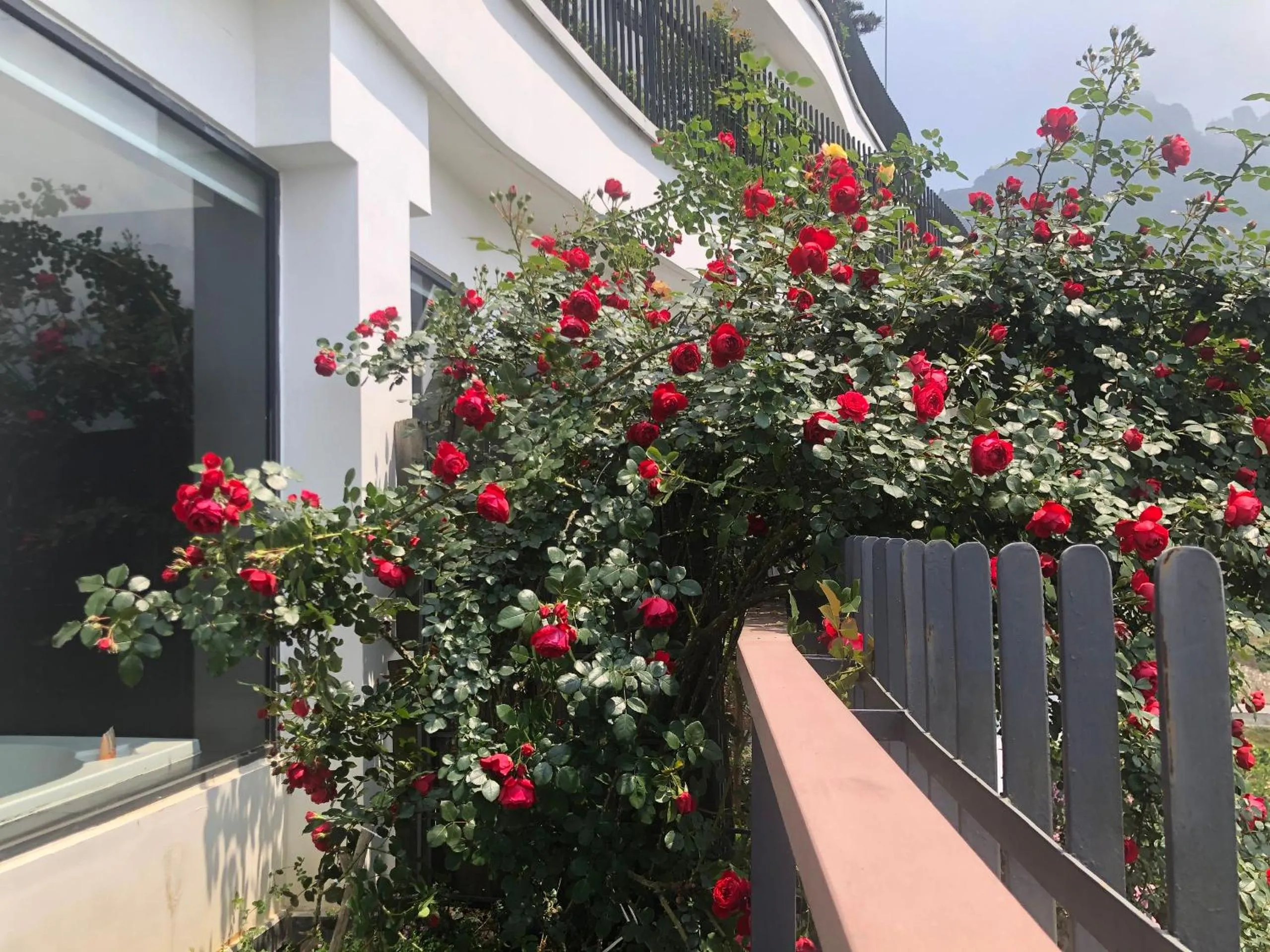 Balcony/Terrace in Pao's Sapa Leisure Hotel