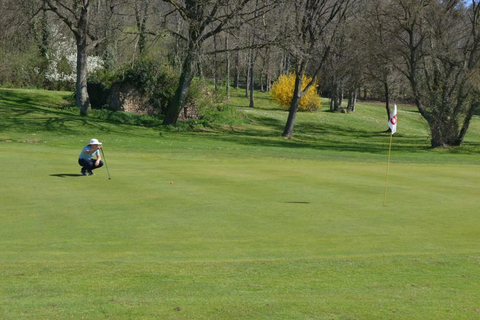 Golfcourse in Best Western Golf d'Albon
