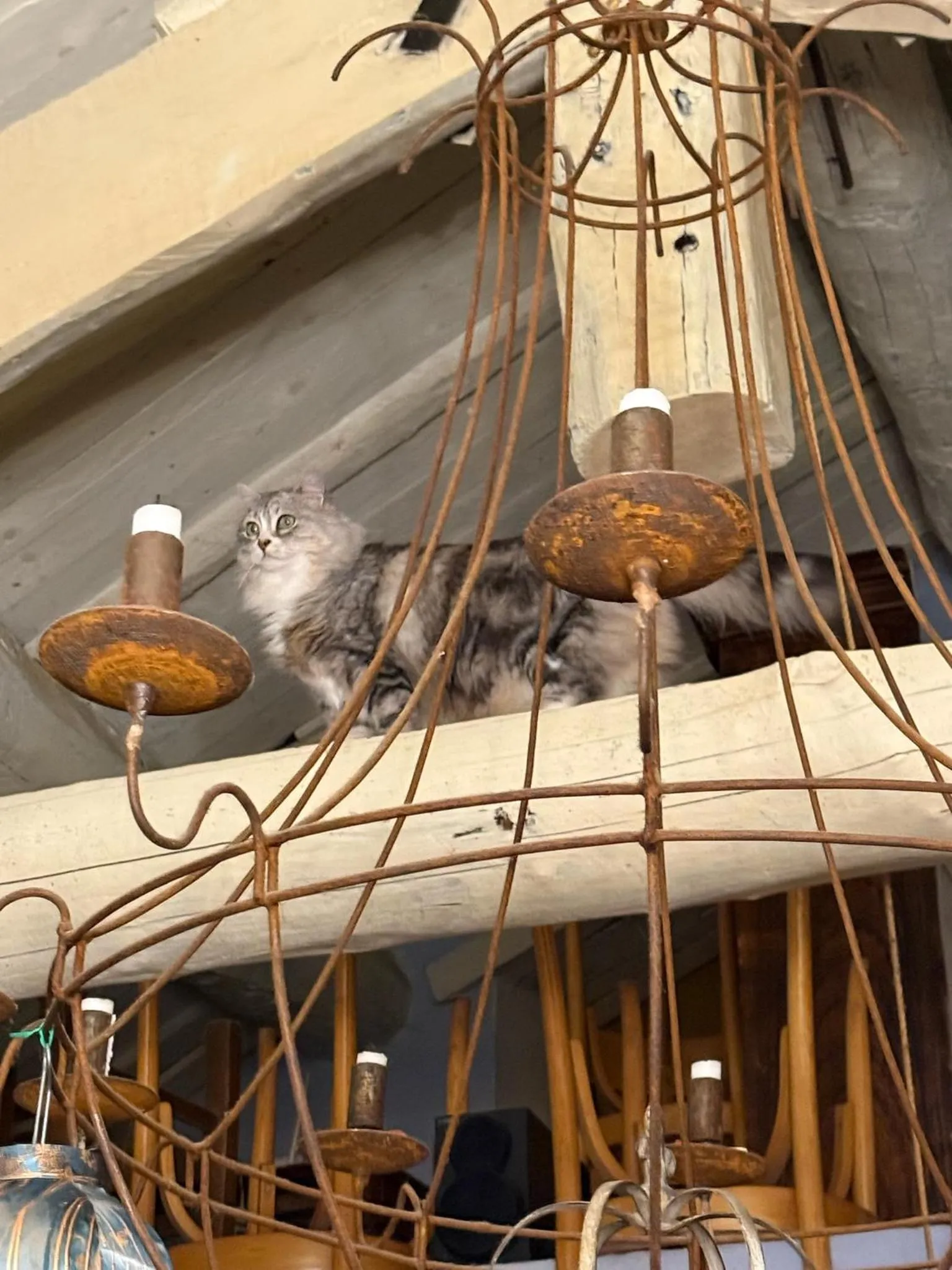 Decorative detail in Viandanti, Artisti e Sognatori