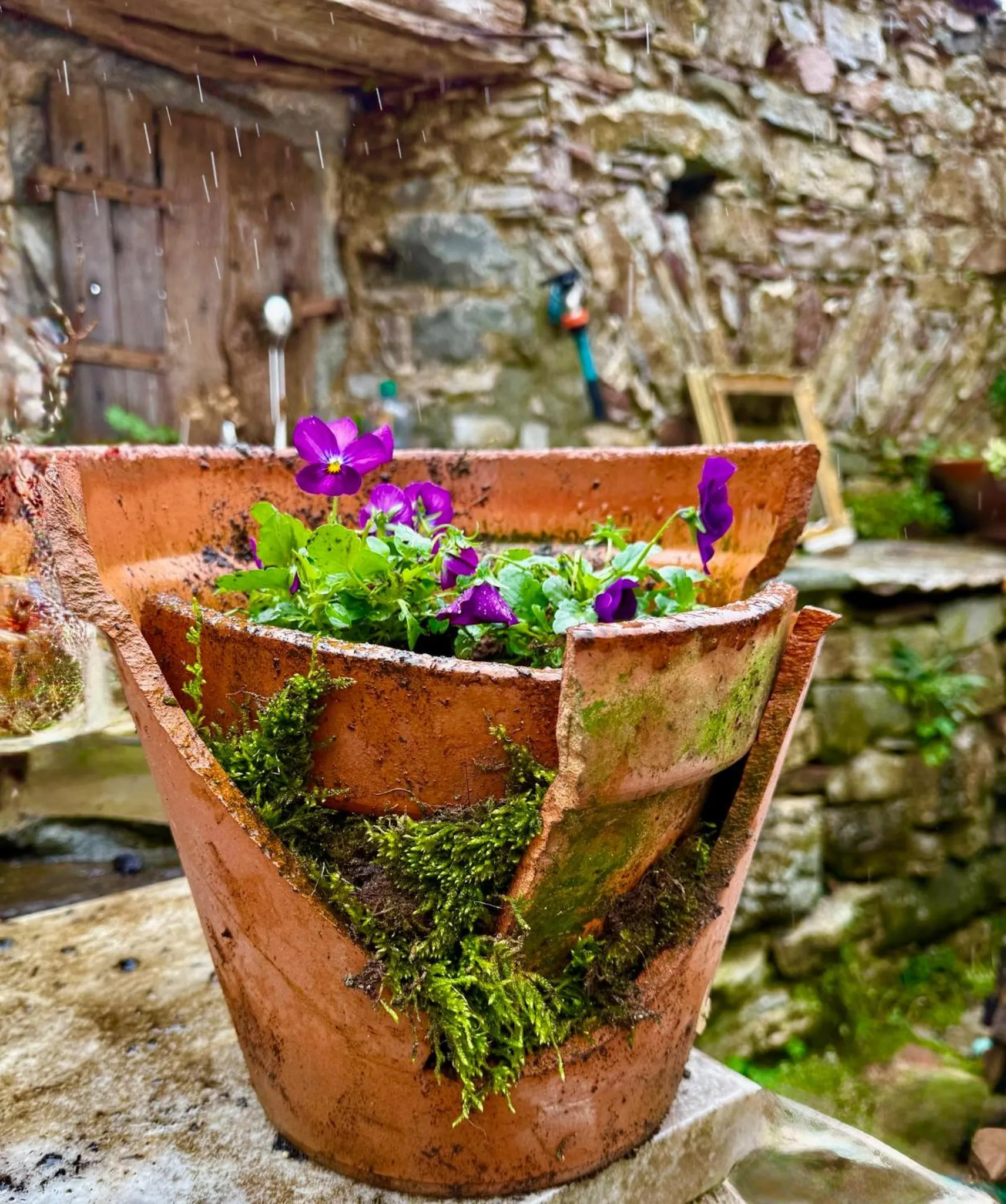 Garden in Viandanti, Artisti e Sognatori
