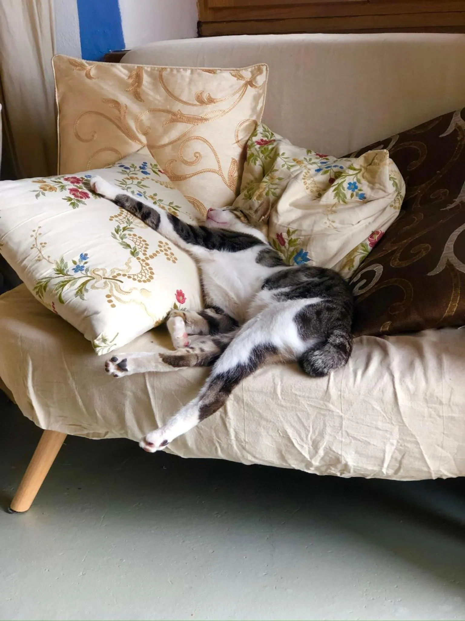 Animals, Bed in Viandanti, Artisti e Sognatori