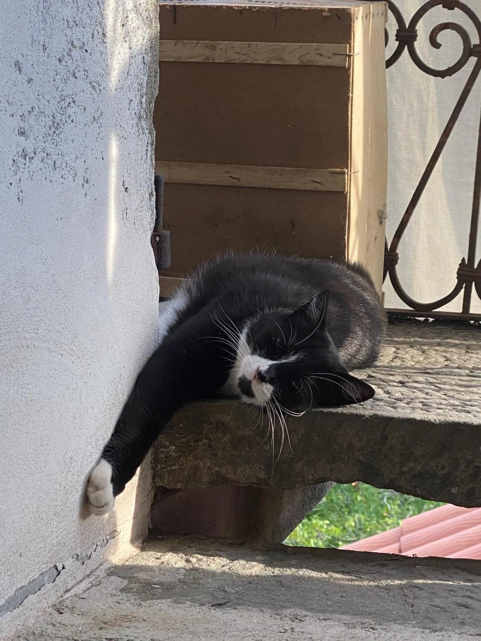 Animals in Viandanti, Artisti e Sognatori