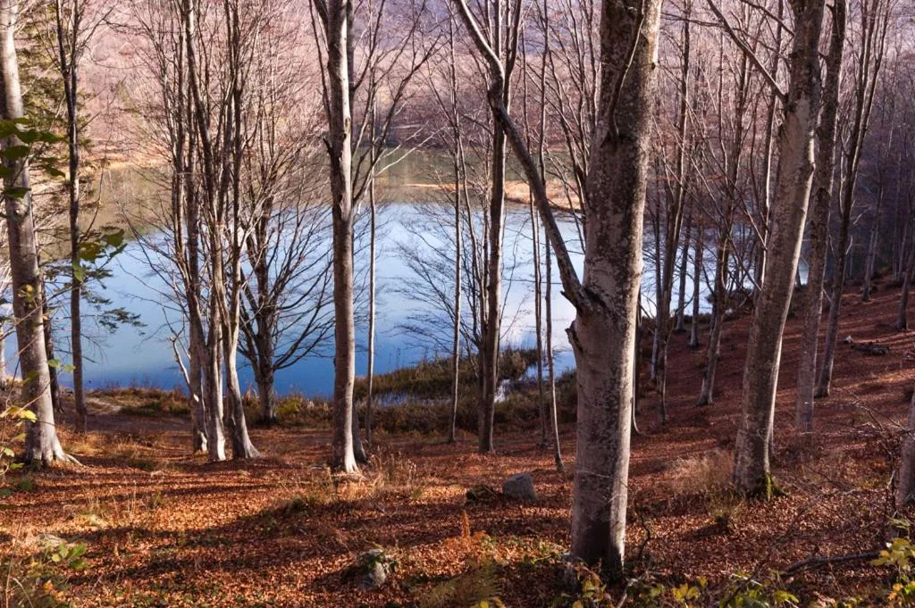 Viandanti, Artisti e Sognatori