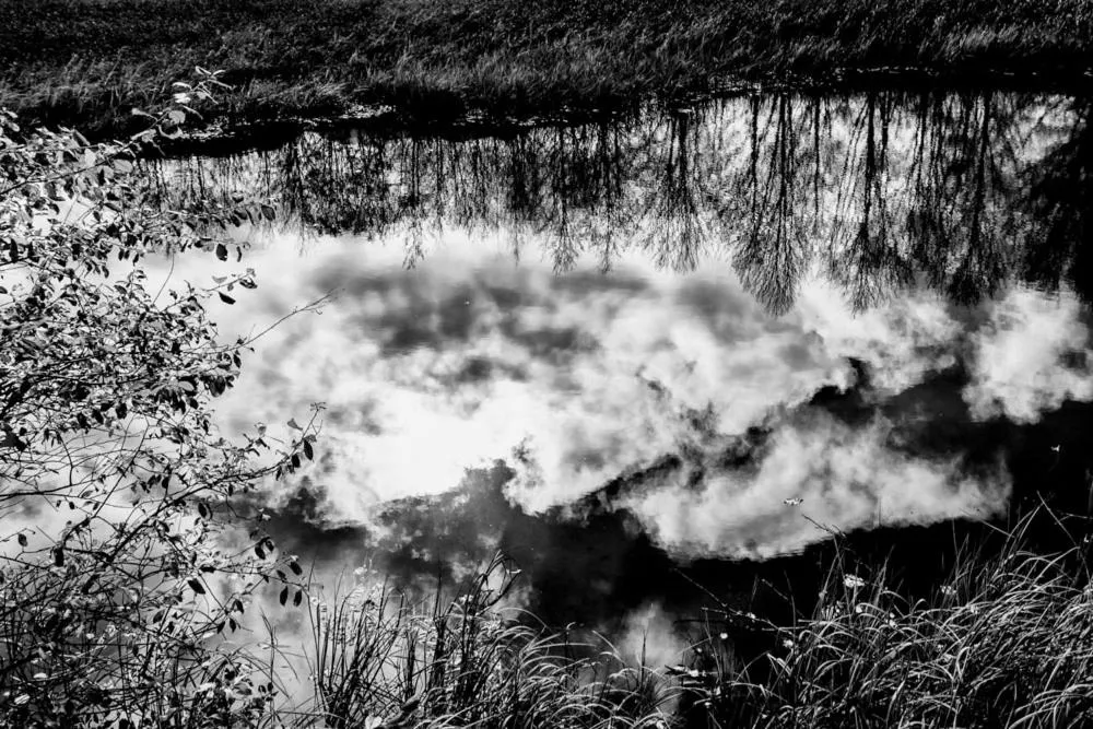 Viandanti, Artisti e Sognatori