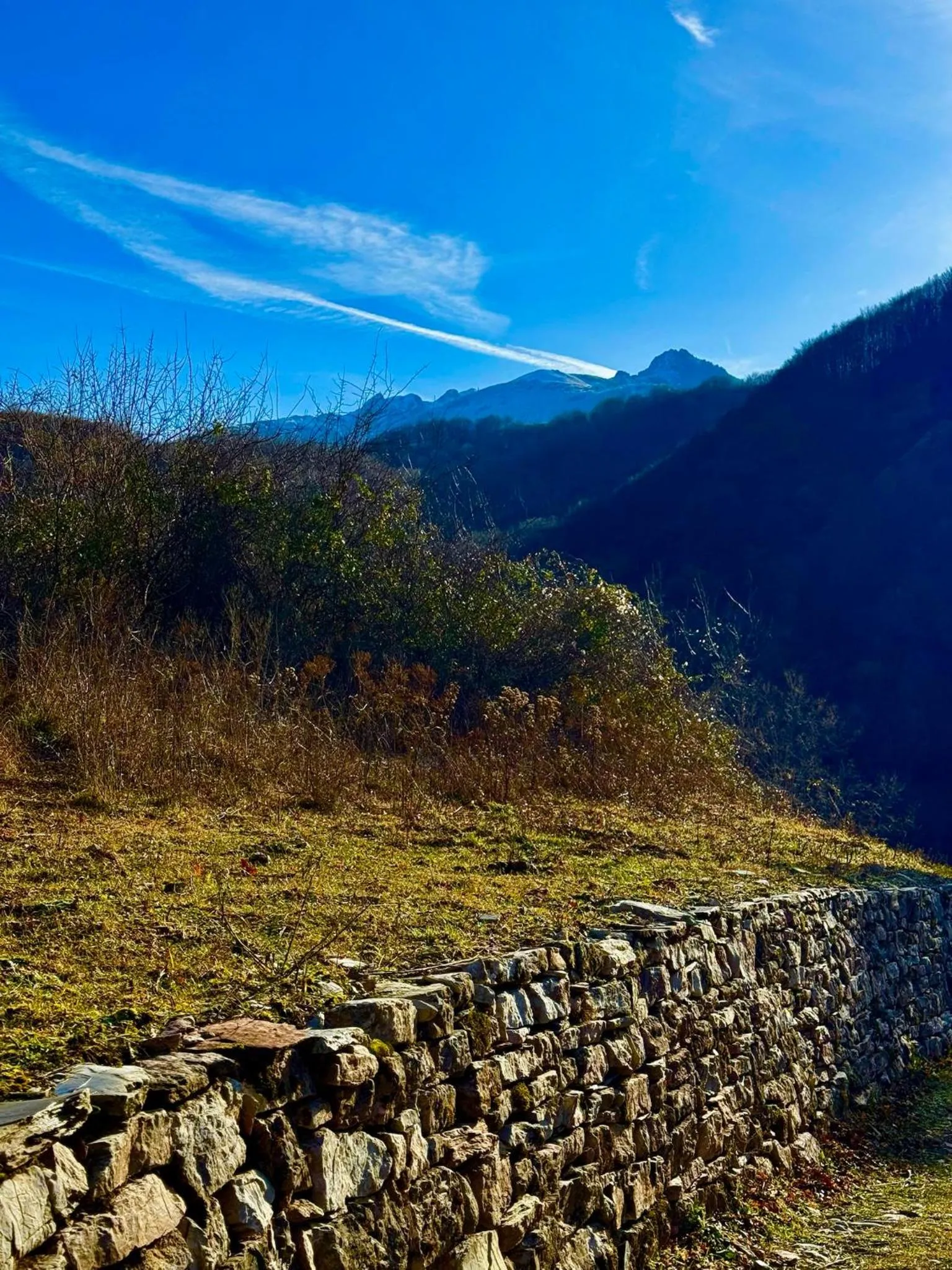 Nearby landmark in Viandanti, Artisti e Sognatori