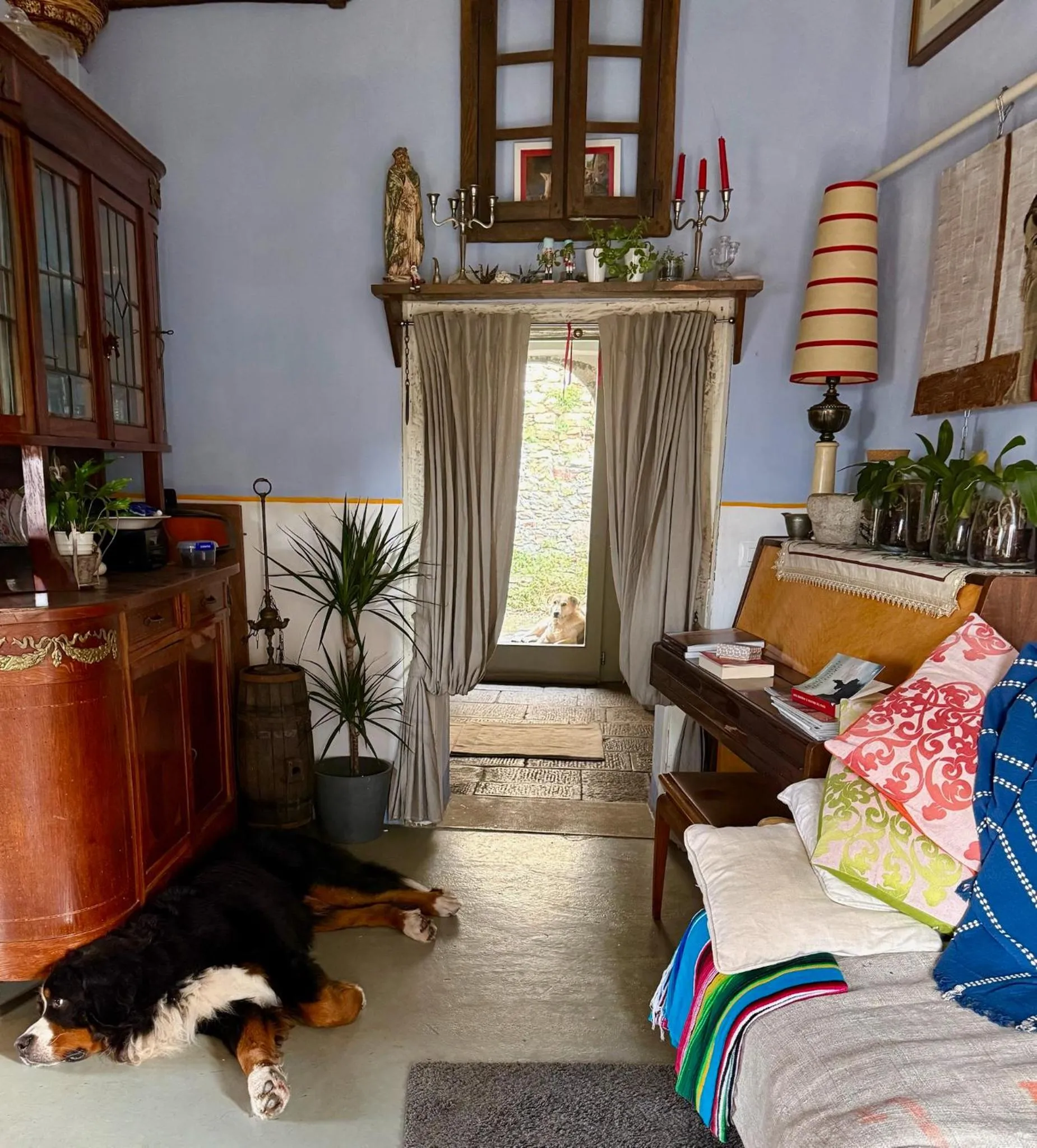 Pets, Bed in Viandanti, Artisti e Sognatori