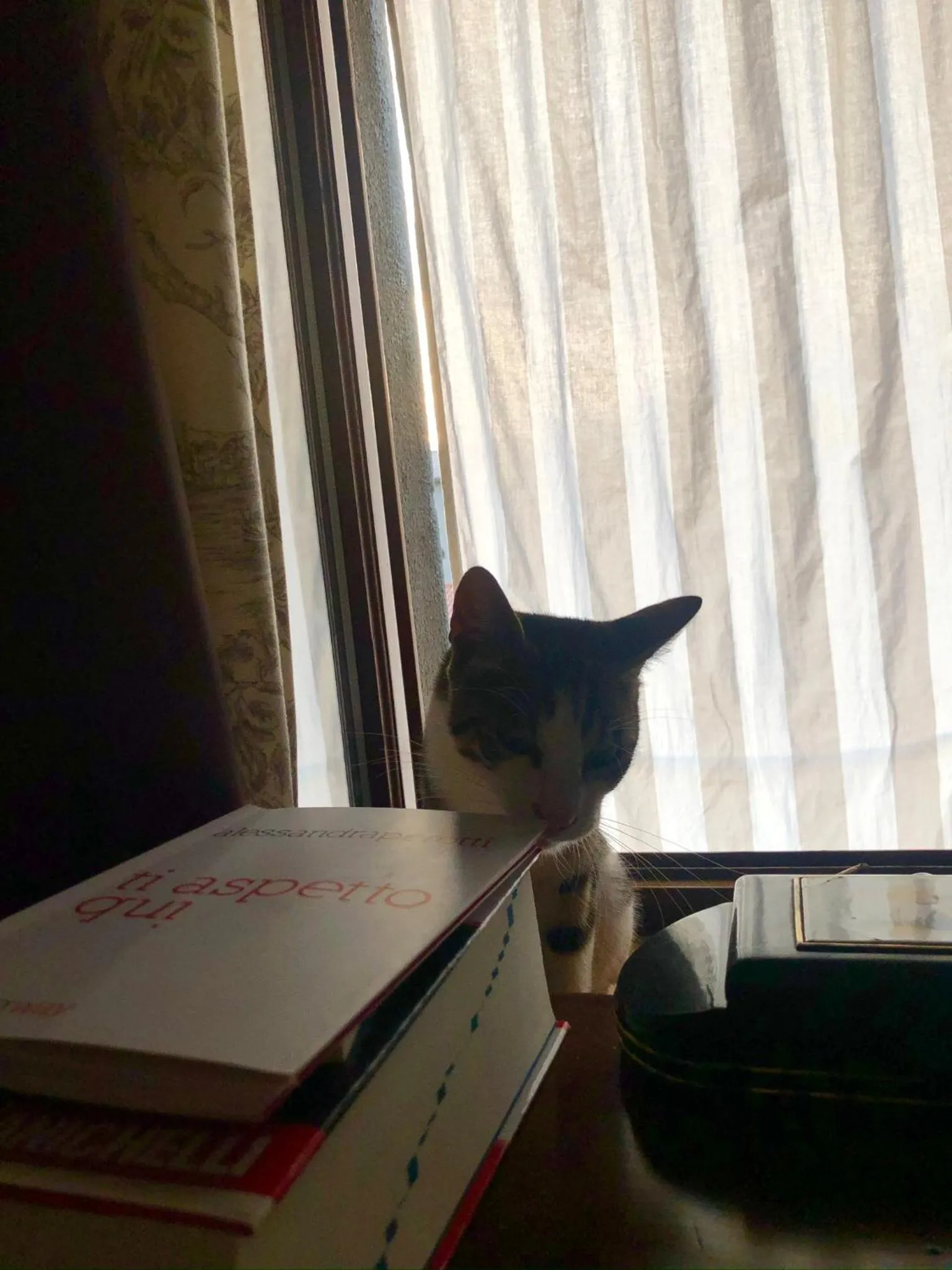 Animals in Viandanti, Artisti e Sognatori