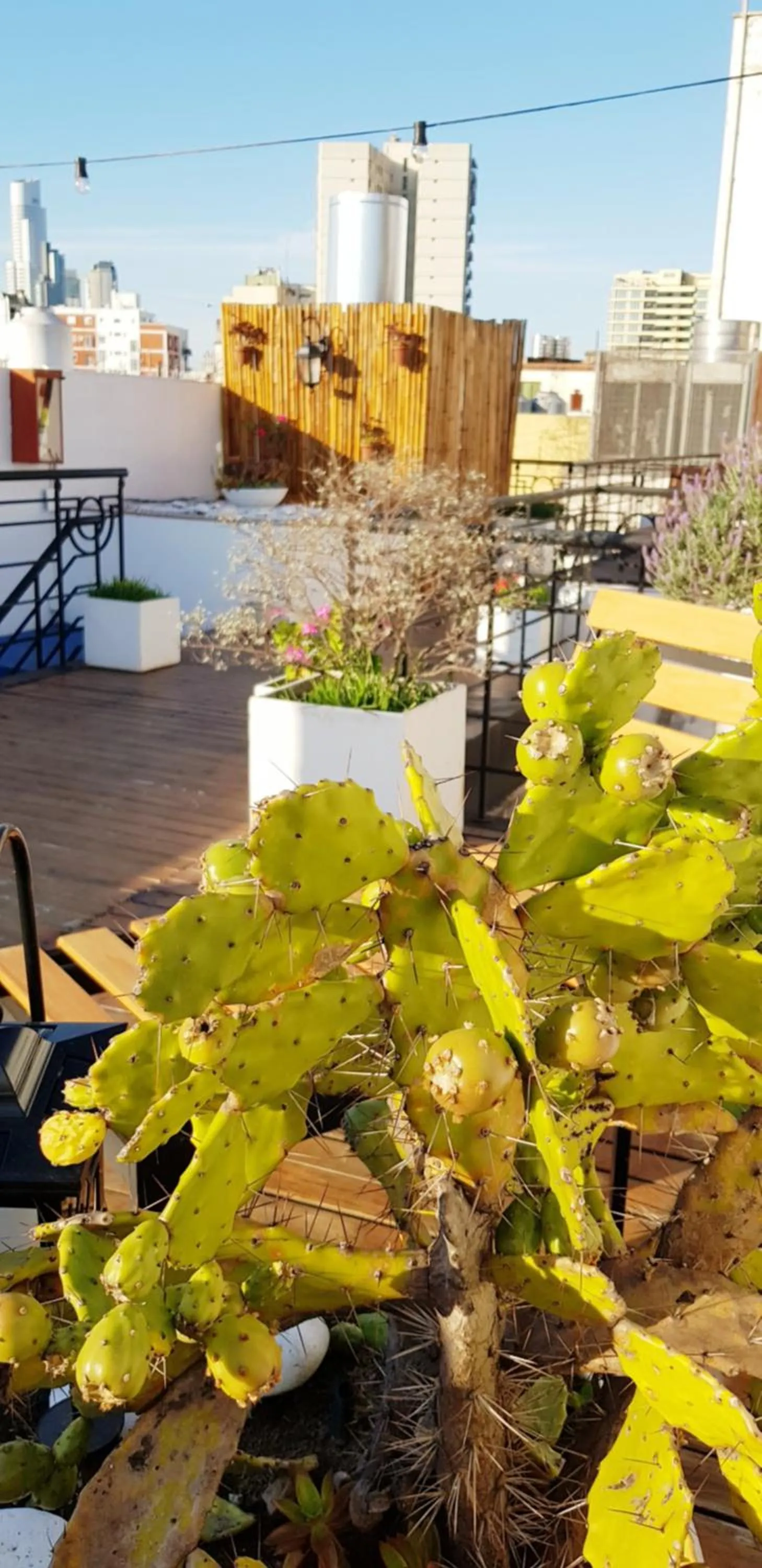 Balcony/Terrace in Telmho Hotel Boutique