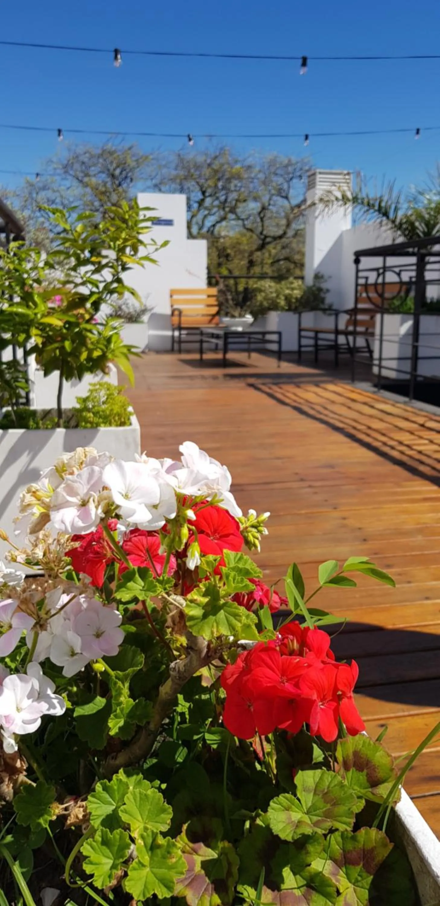 Balcony/Terrace in Telmho Hotel Boutique