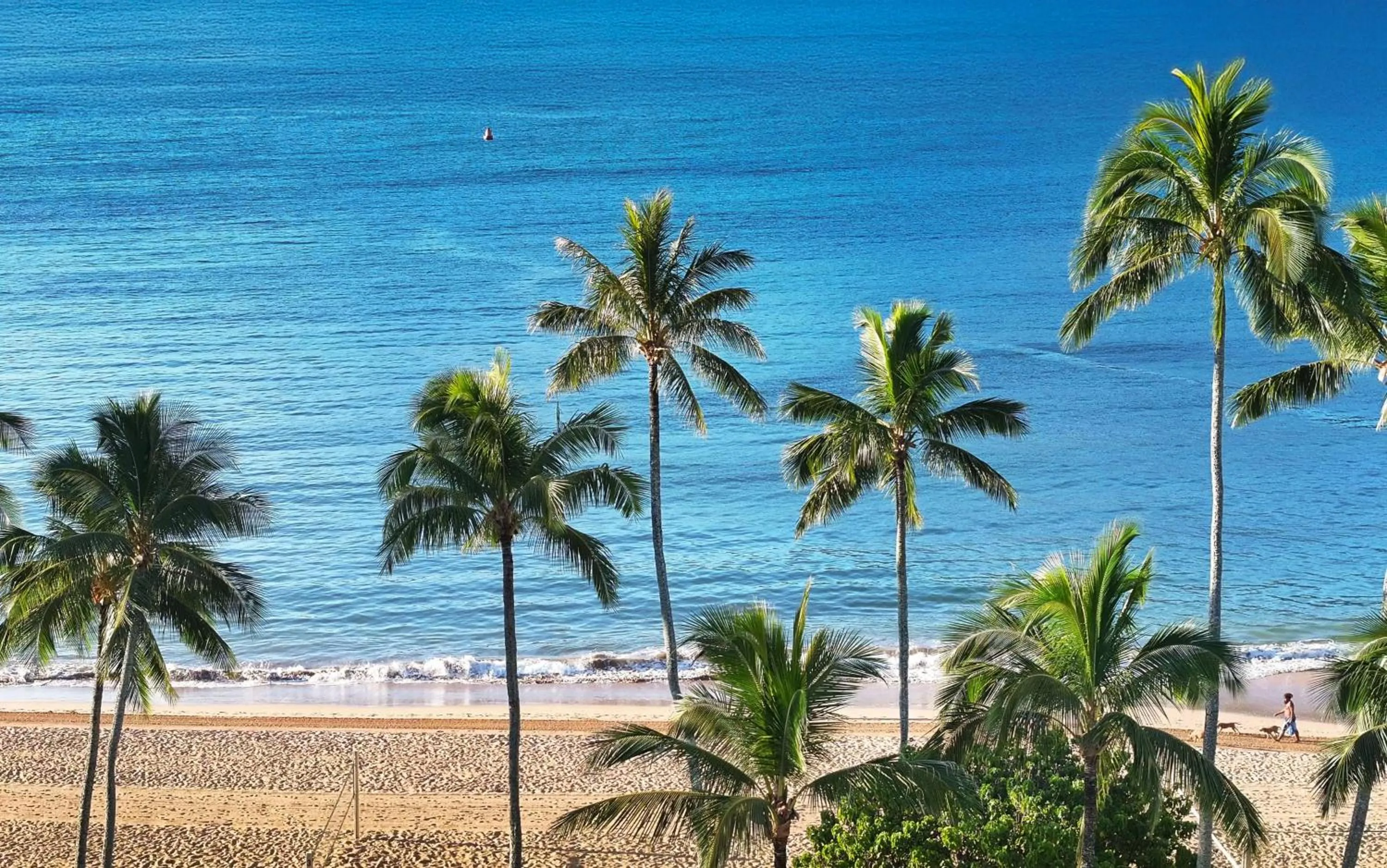 Beach in The Royal Sonesta Kauai Resort Lihue