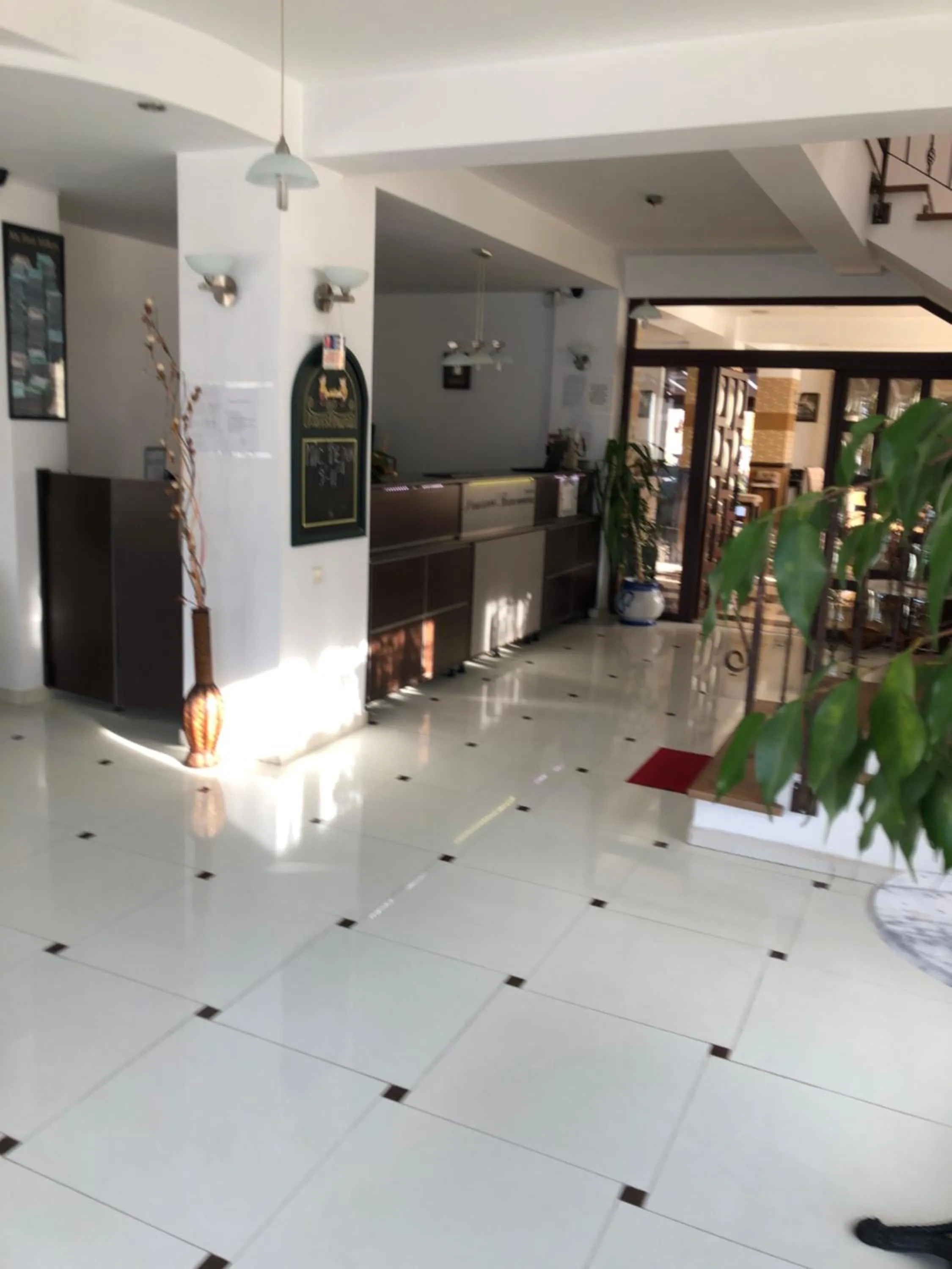 Lobby or reception in Hotel boutique Garden Resort by Brancoveanu