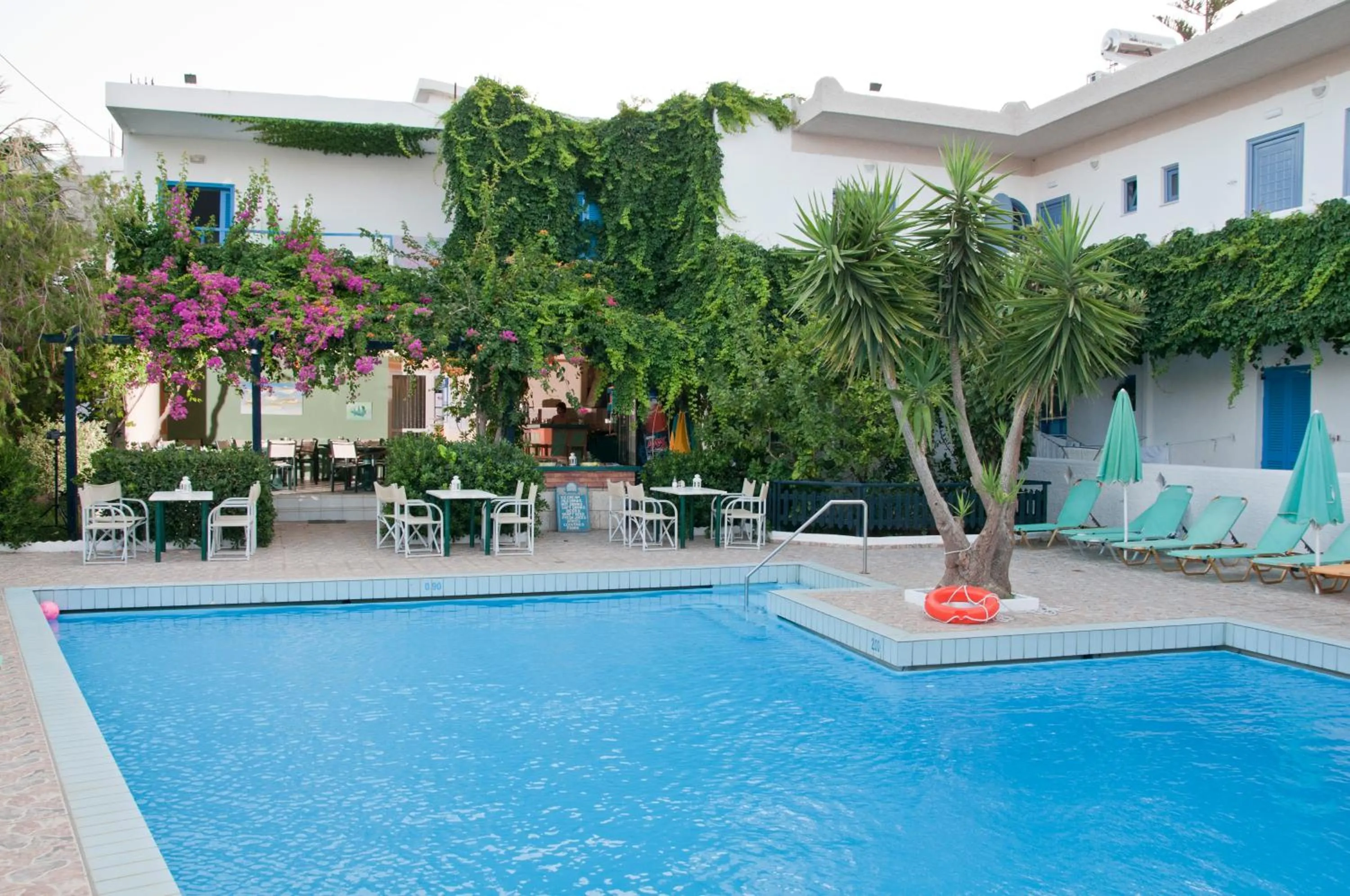 Swimming pool in Costas & Chrysoula