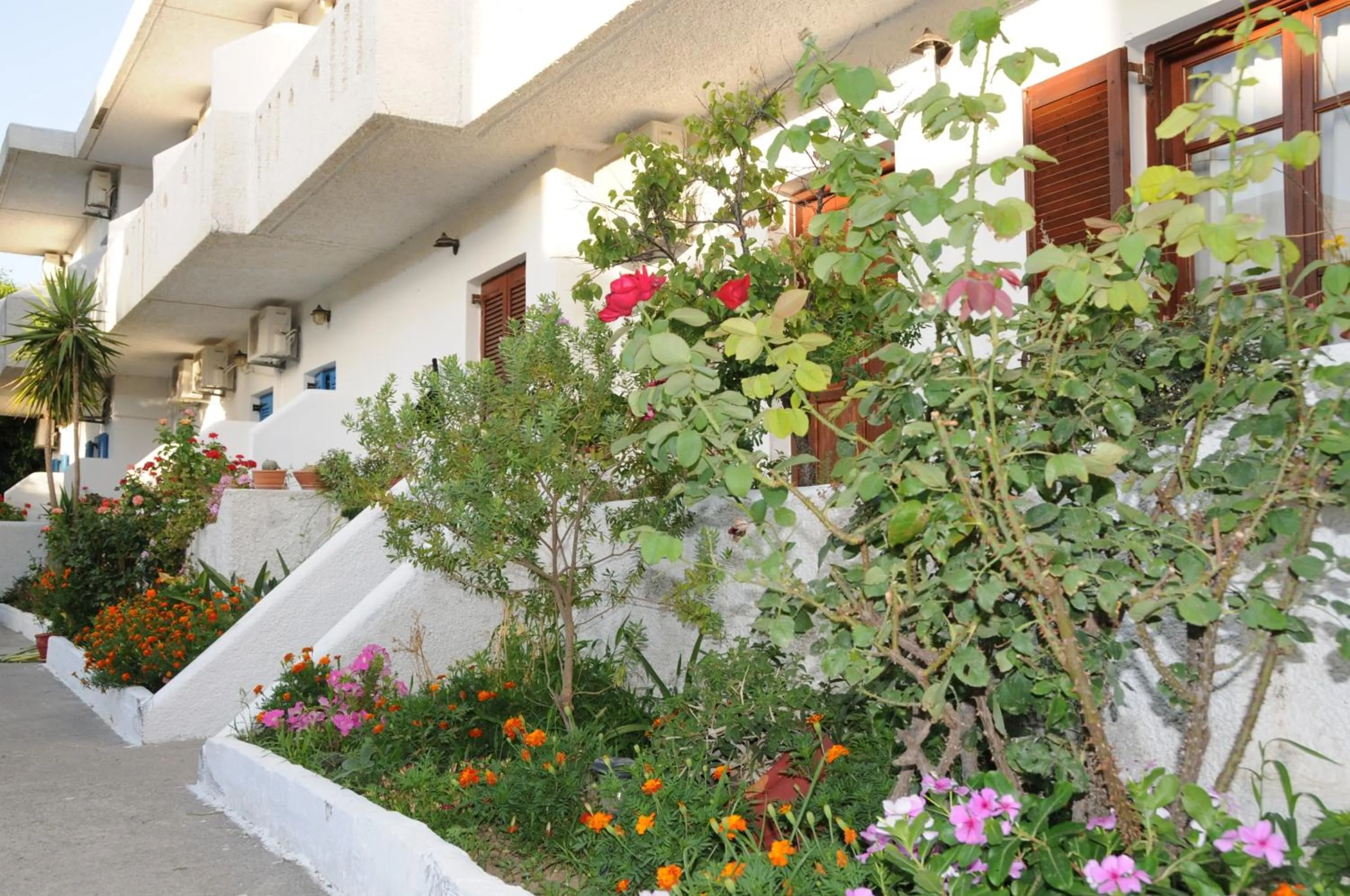 Facade/entrance in Costas & Chrysoula